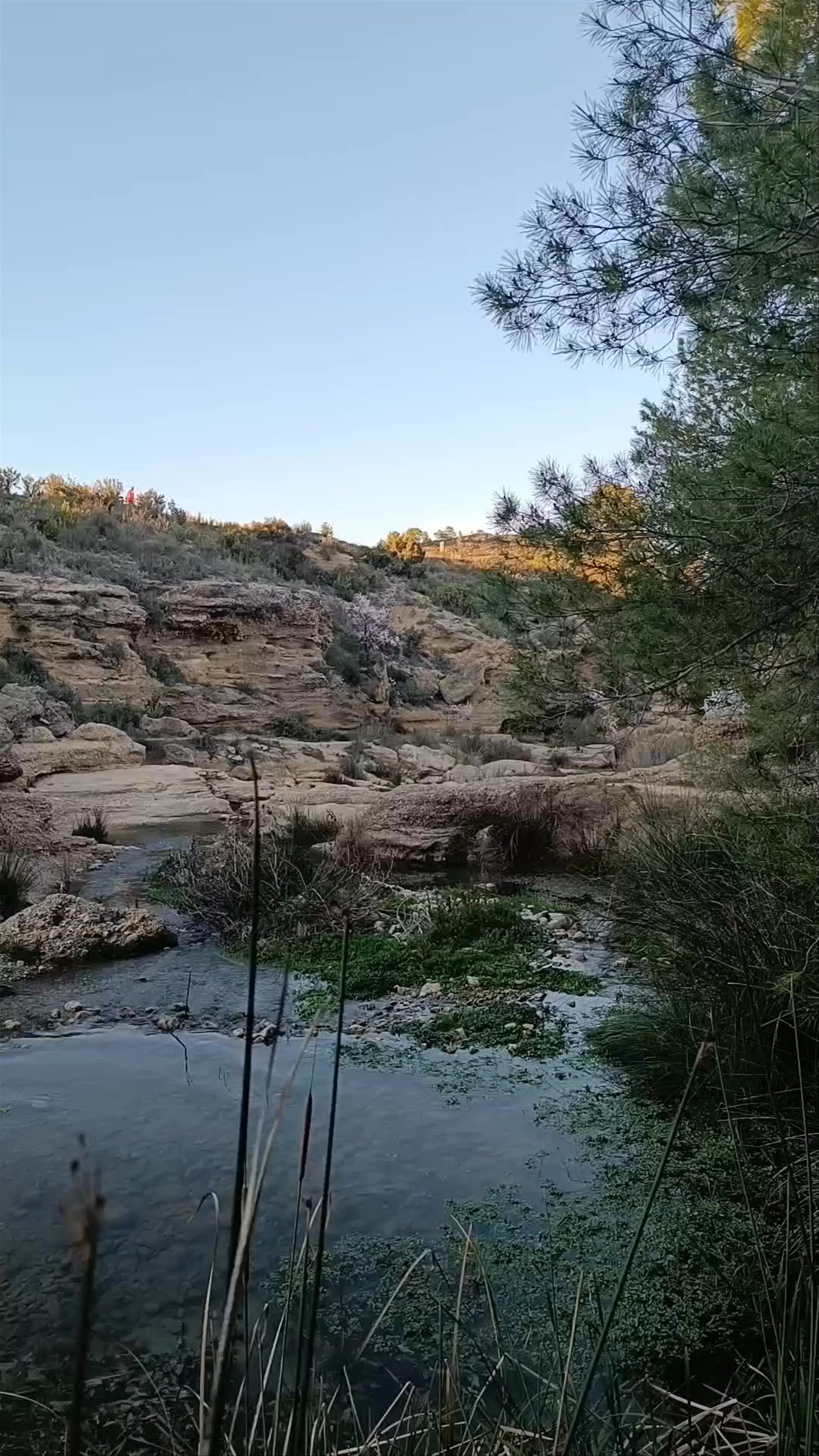 Río Mula