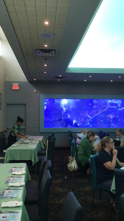 Mandarin Restaurant - Diver cleaning the tank! Loved it! - Chinese Near Me - Brampton, Ontario