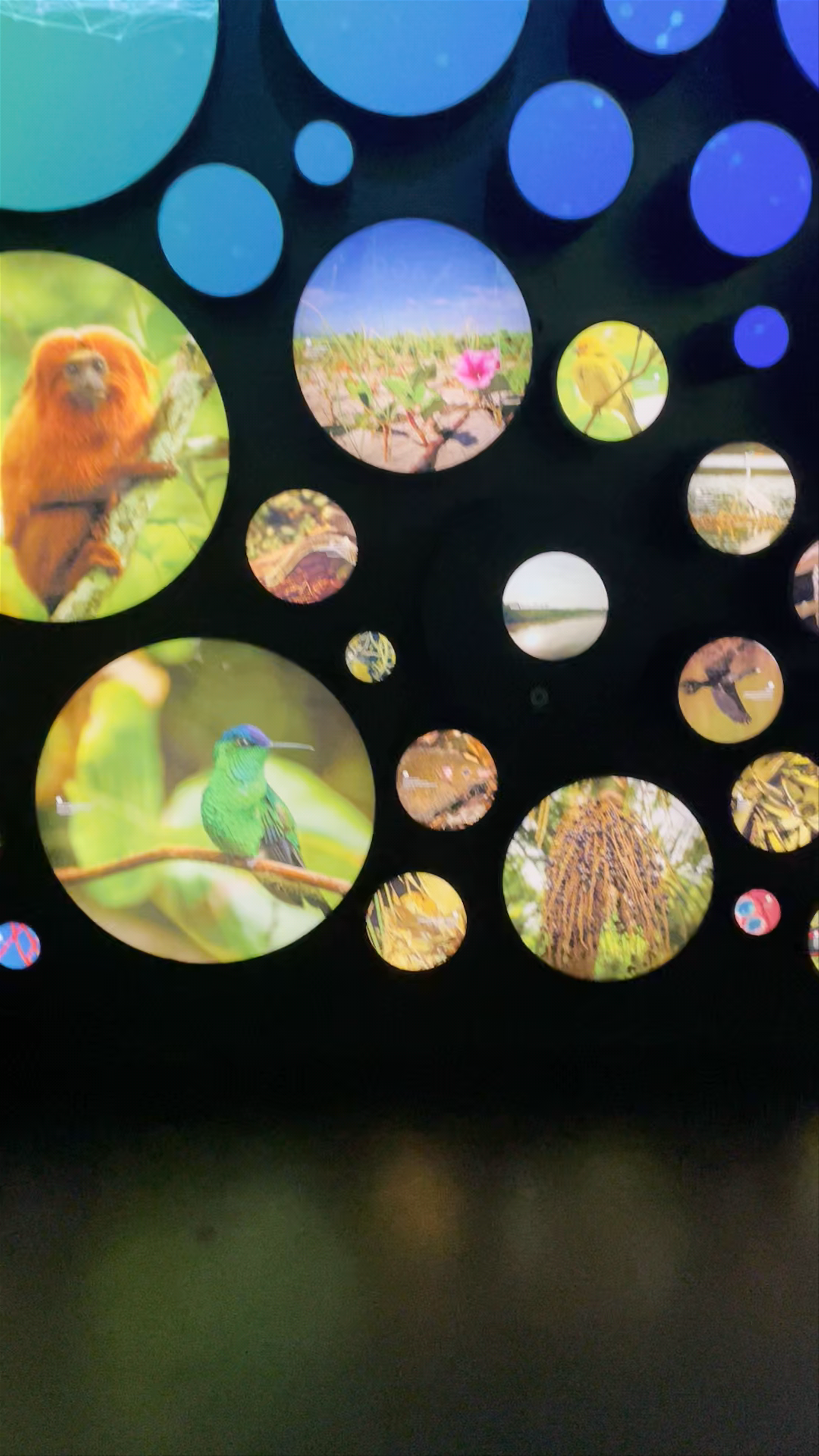 Museu do Amanhã - Praça Mauá - Centro