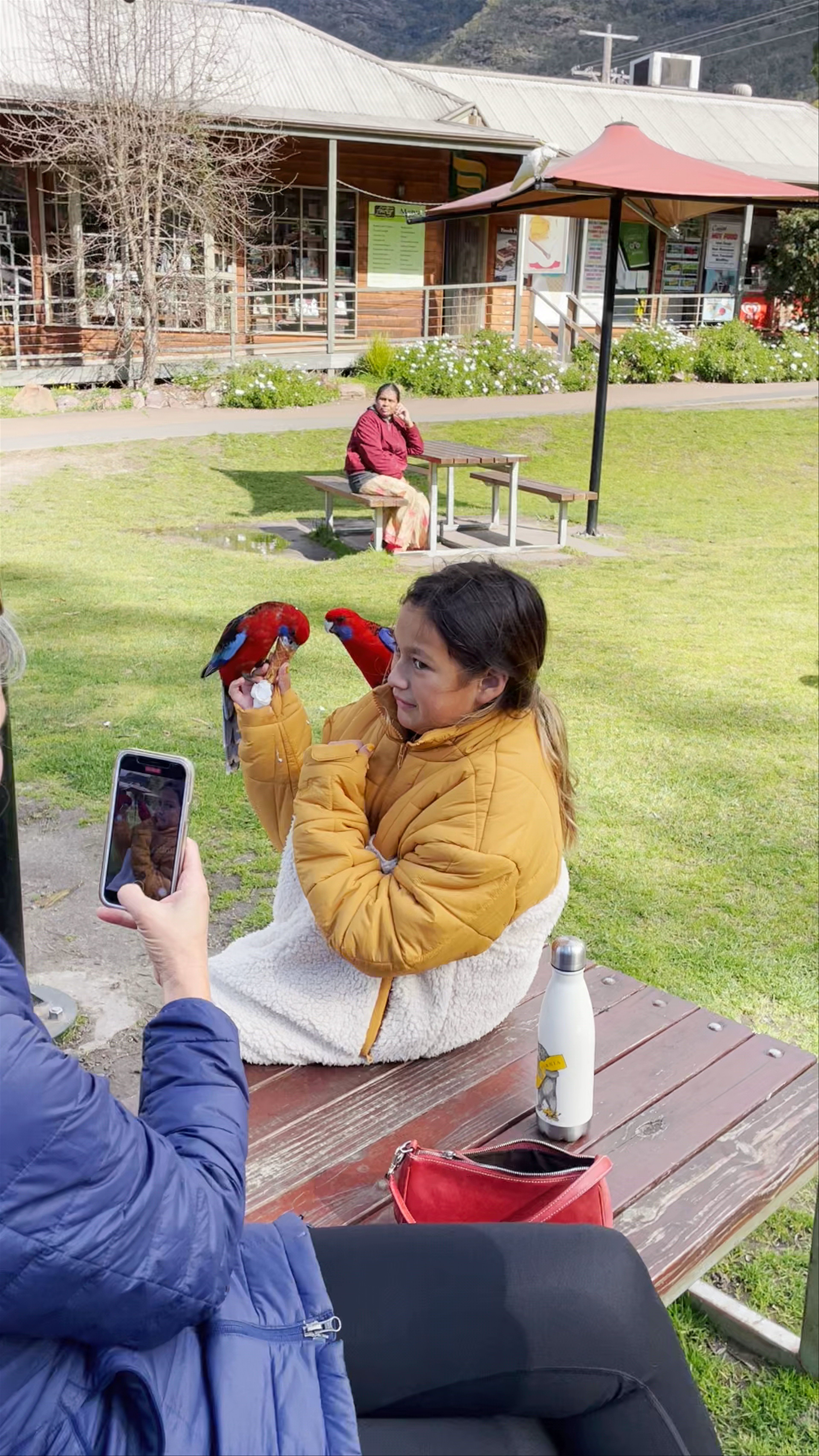 Halls Gap Visitor Information Centre