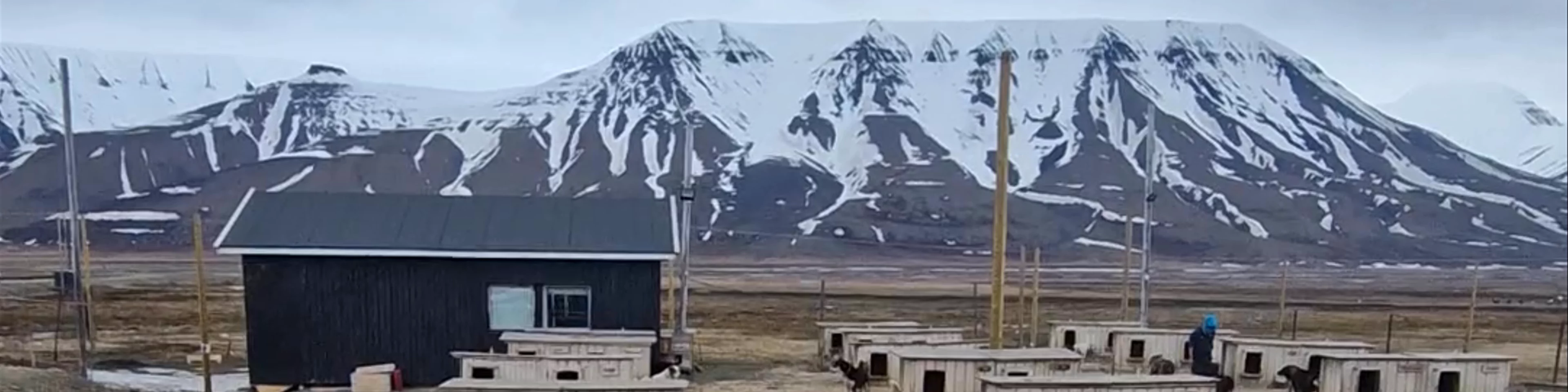 Svalbard Adventures