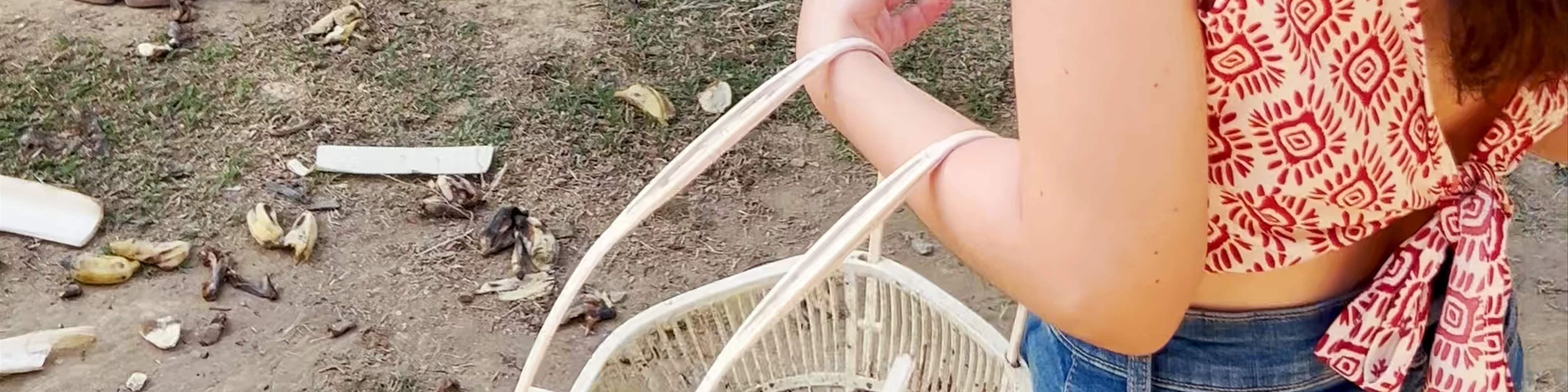 (Big and Cute) (lantaislandsafari)(Elephant Sanctuary) Klongjakwaterfall Ko Lanta Yai