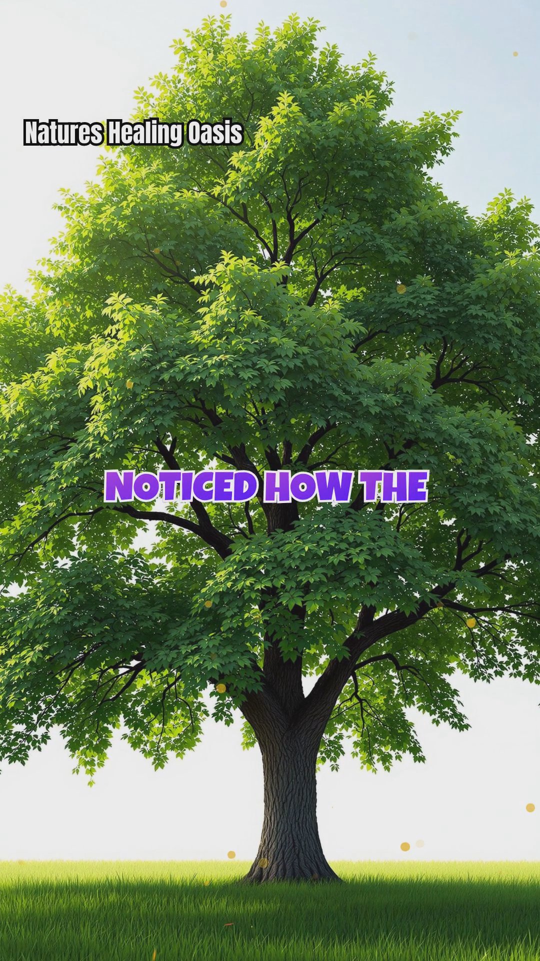 The Energetic Differences Between Deciduous and Evergreen Trees: How Leaf Retention Affects Human...