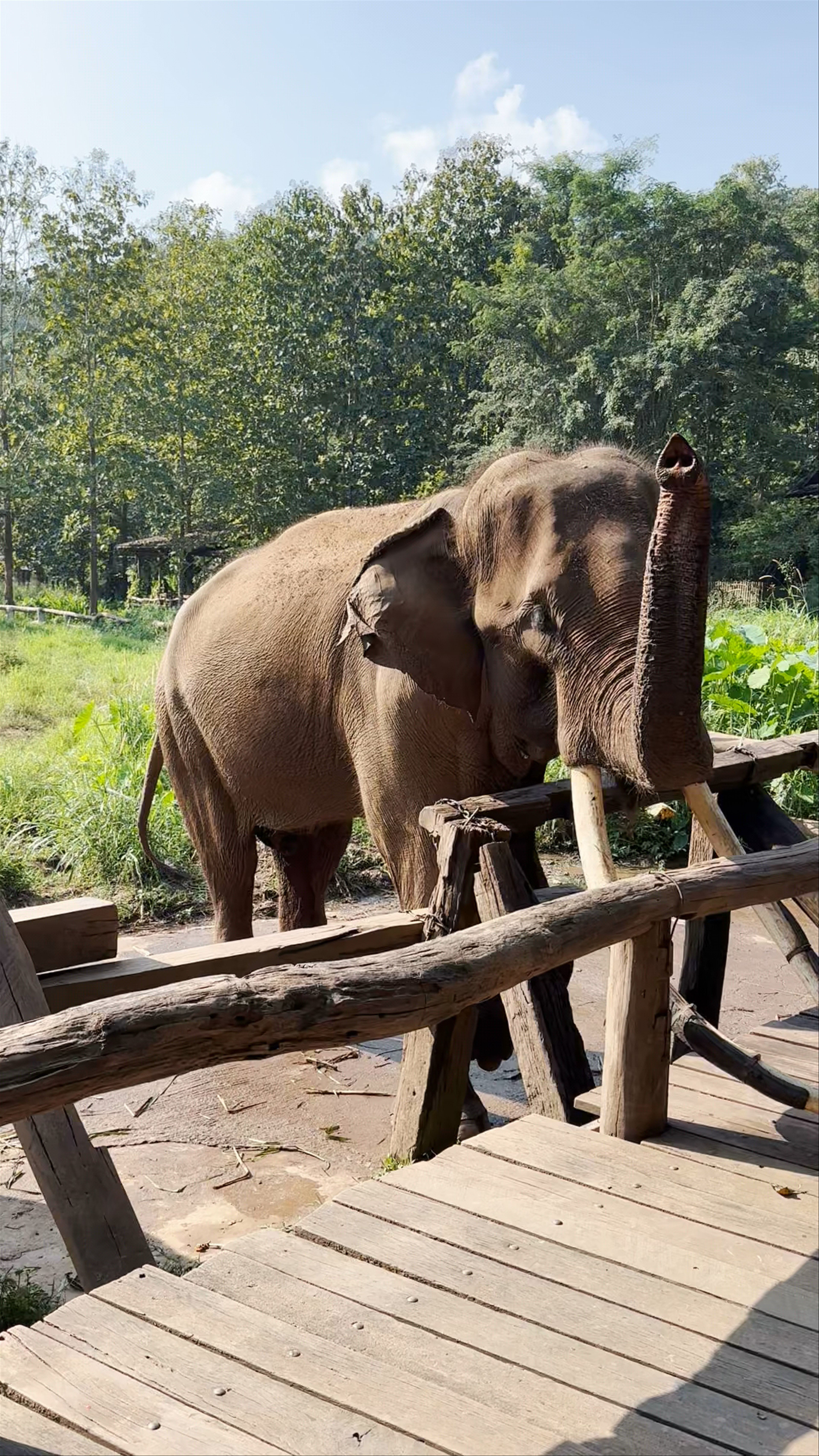 Elephant EcoValley
