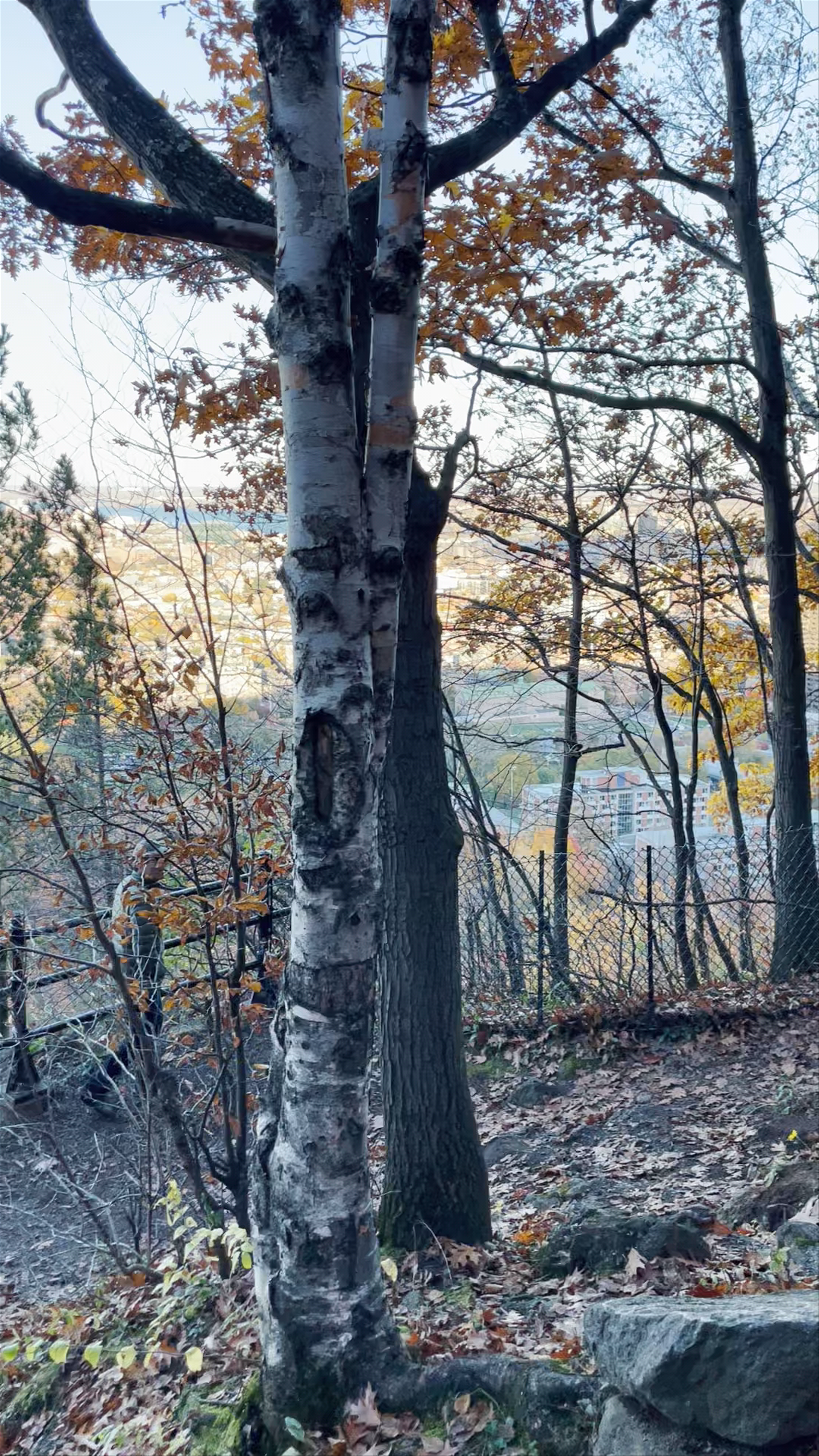 Panoramic View North-East Montreal