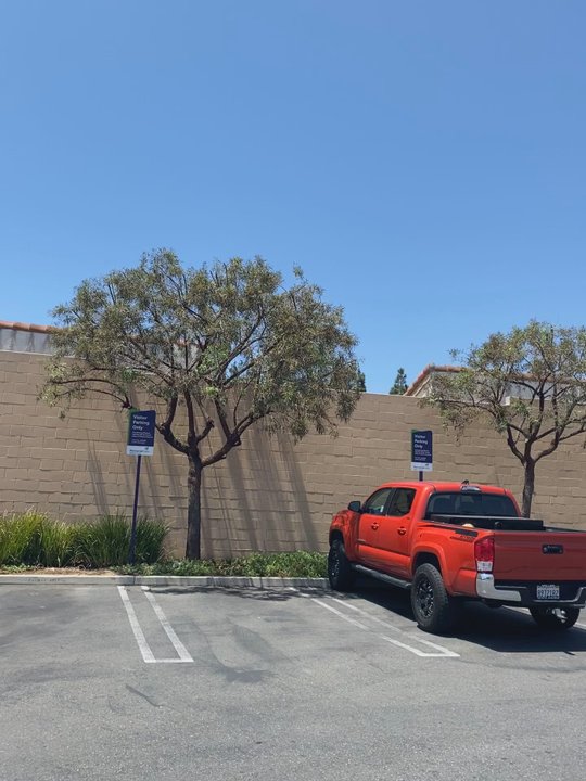 CA&A Tree Care - Tree Services Near Me