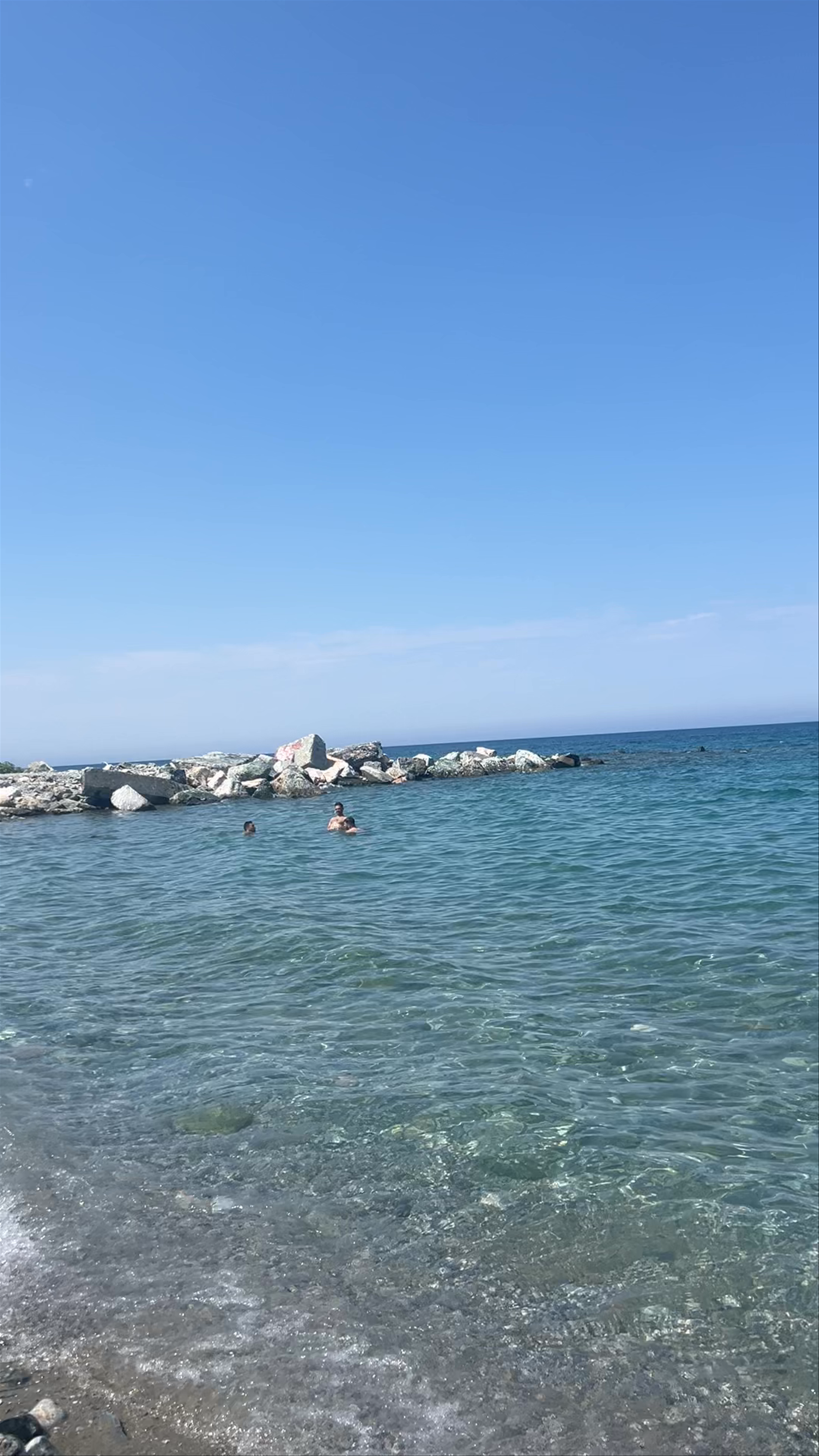 Alisachni