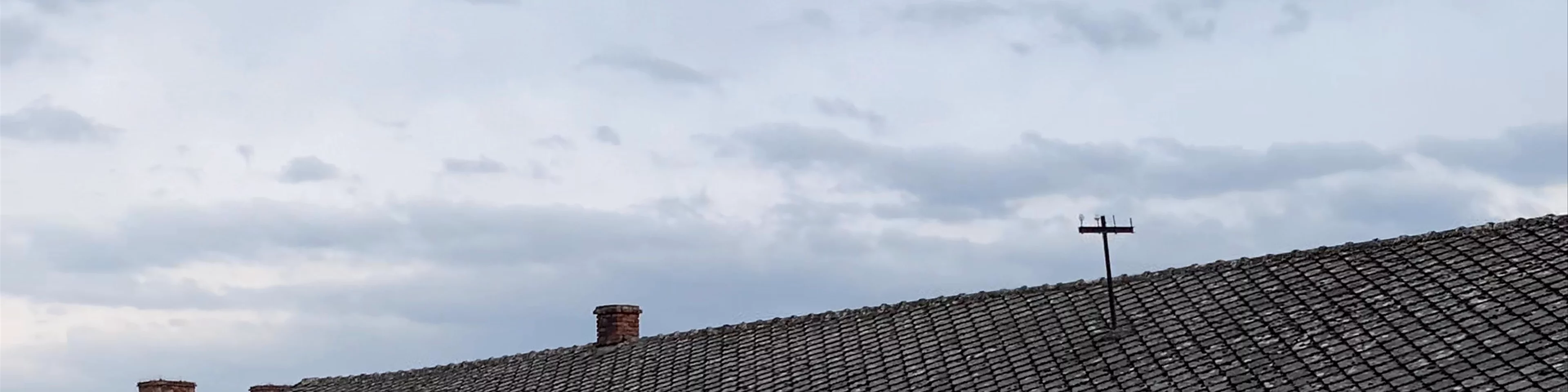 Birkenau