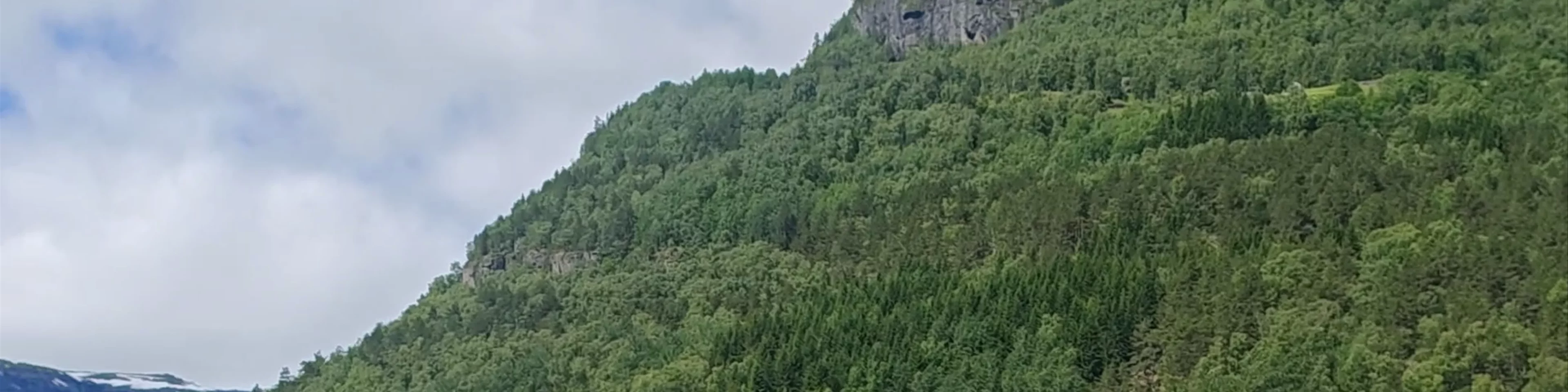 The Hand