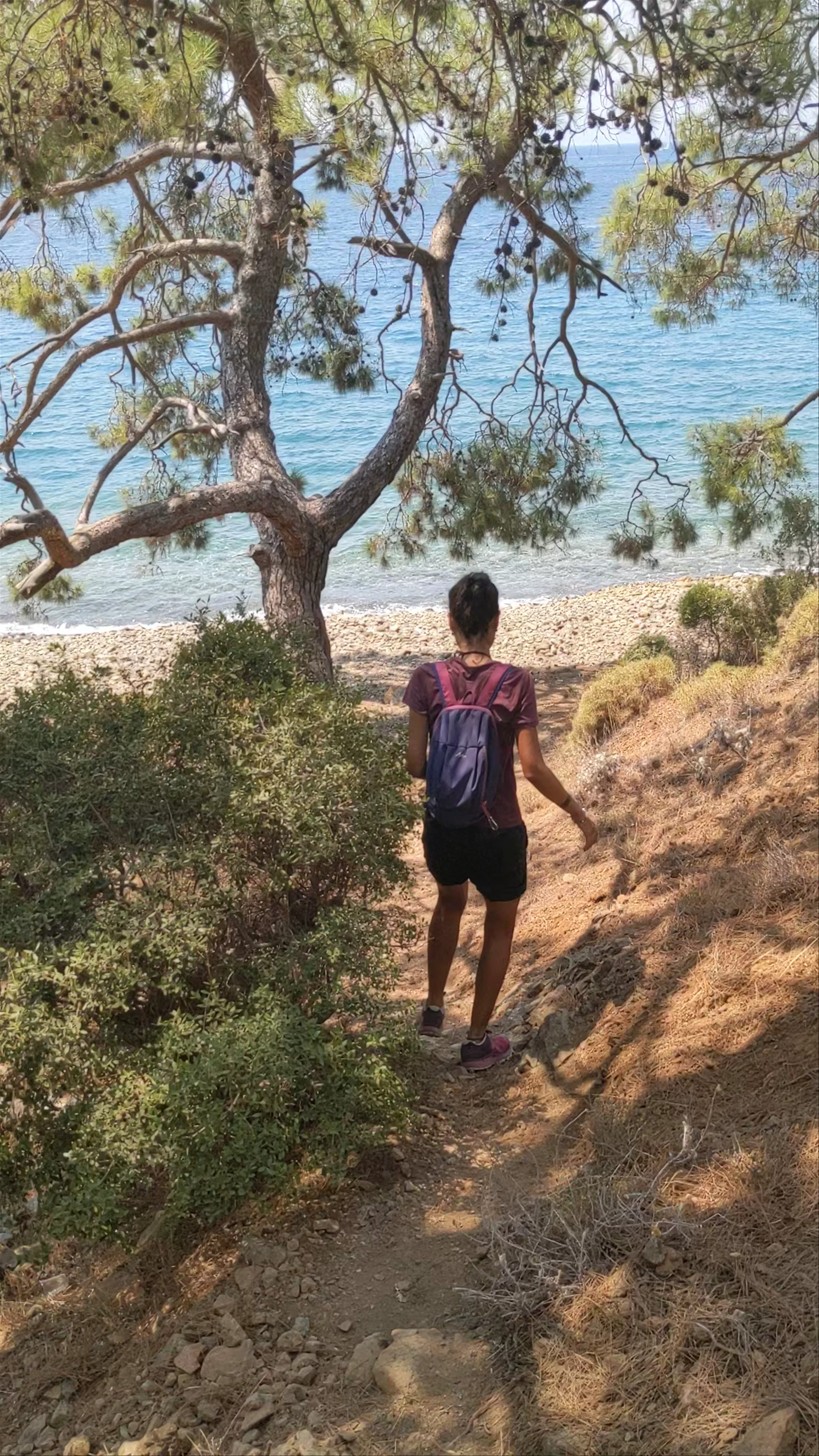 Karagözler, Kayaköy Belen Patikası, 14. Sokak, Fethiye/Muğla, Turkey