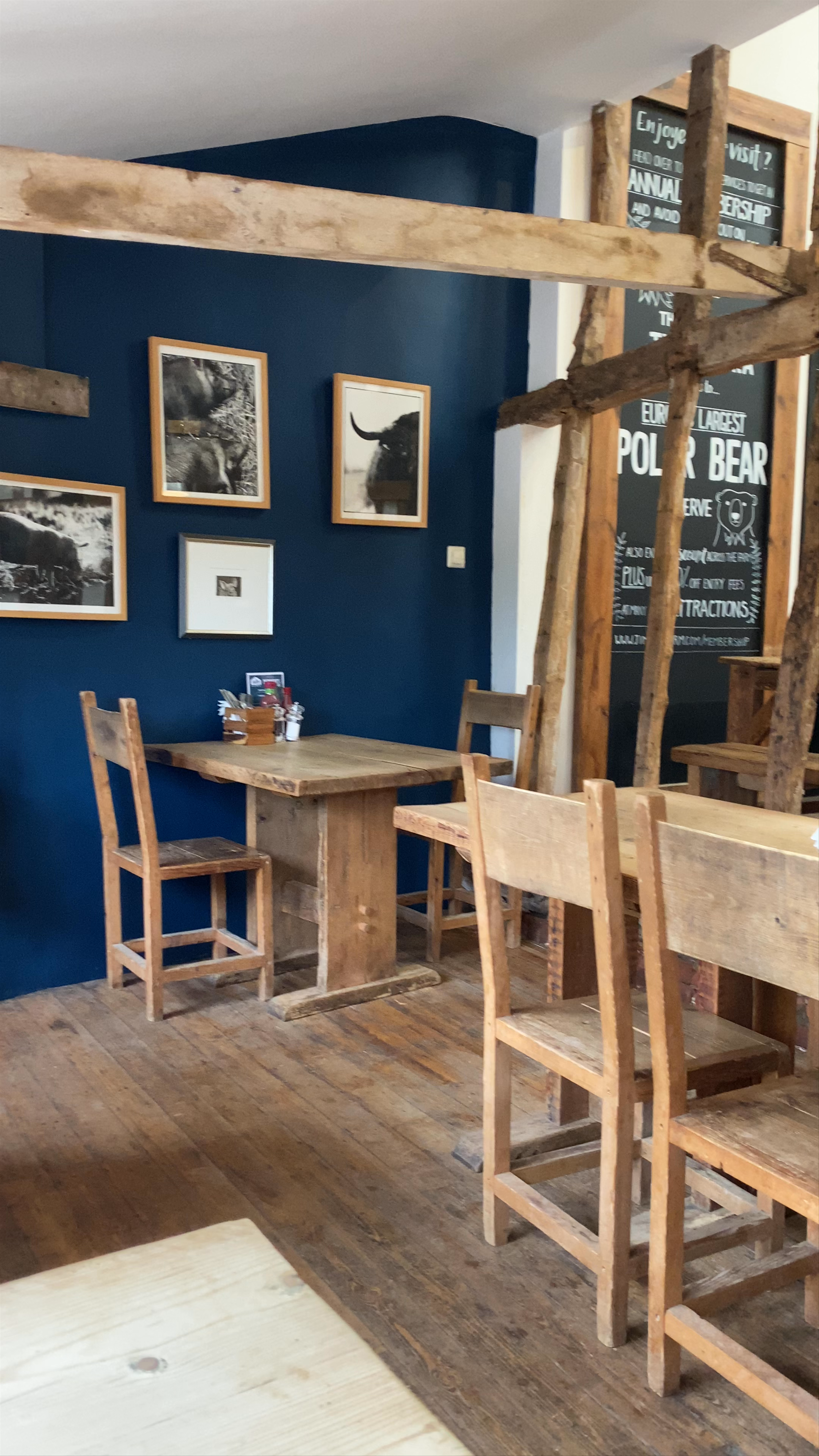 Rustic Charm and Wildlife at Jimmy's Farm & Wildlife Park, Ipswich