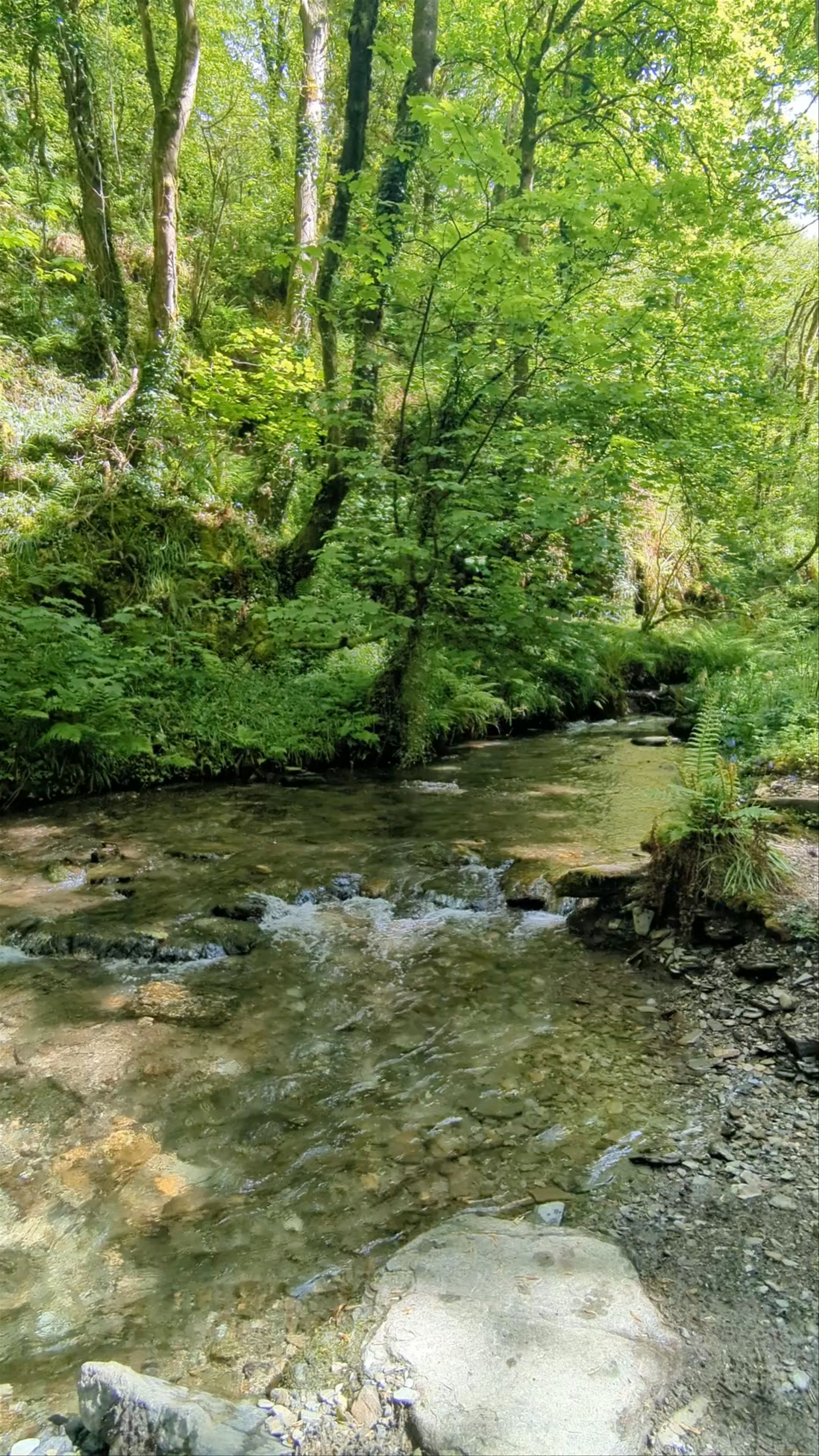 St Nectan's Waterfall