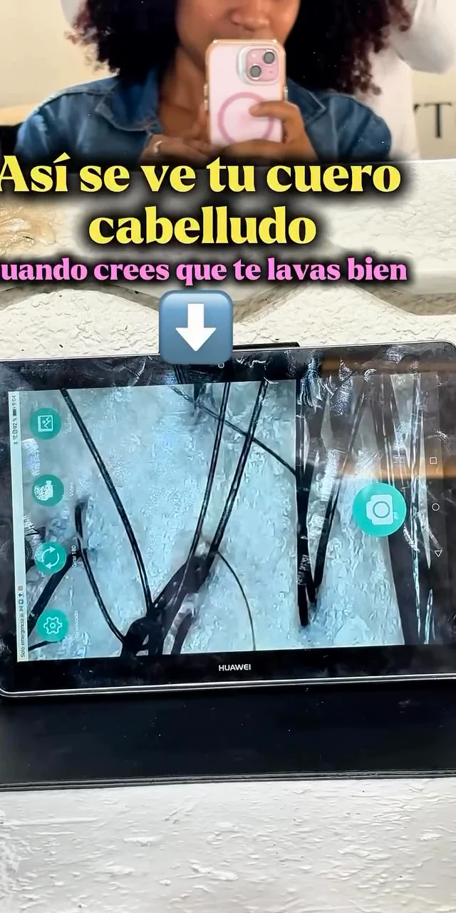 Contenido del creador