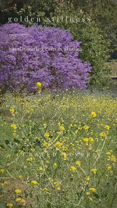 Preview image for video