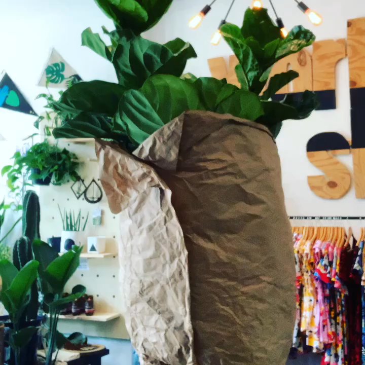 Workshop PGH Store - Shopping Near Me - Pittsburgh, Pennsylvania