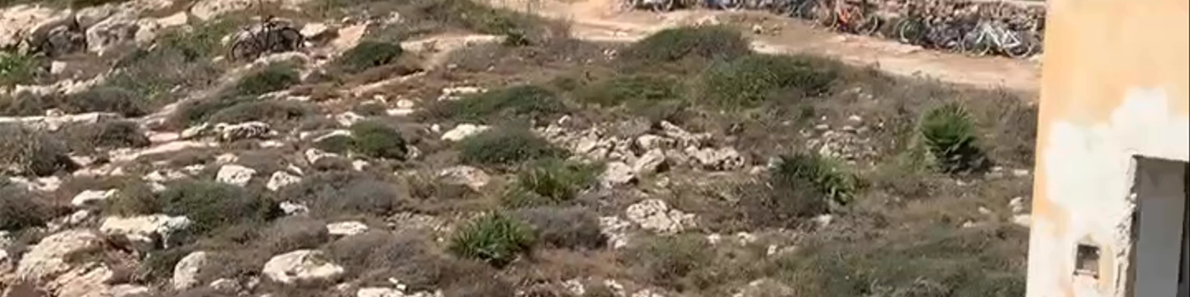 Cala azzurra