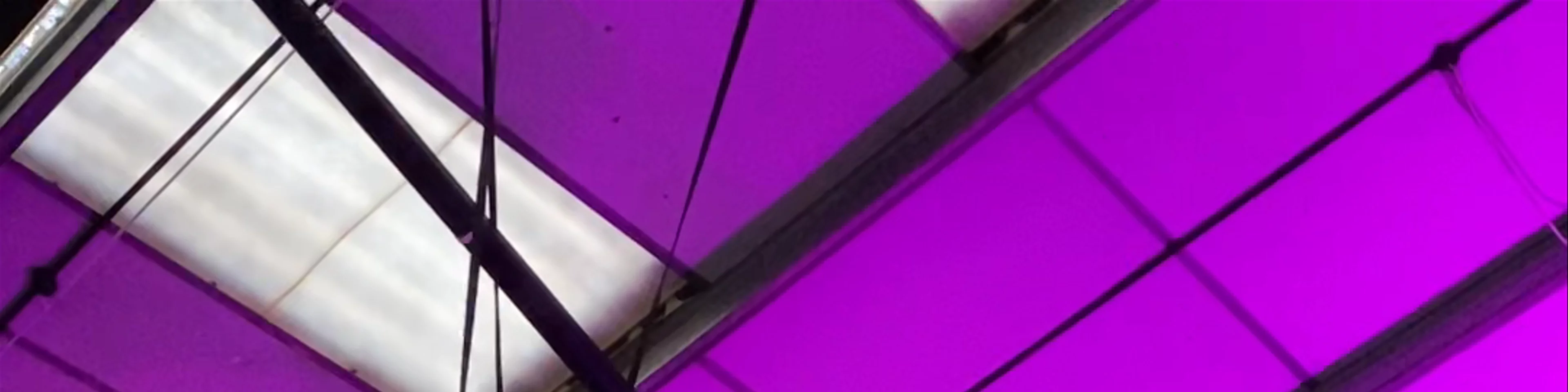 Clip n’ Climb Chelsea