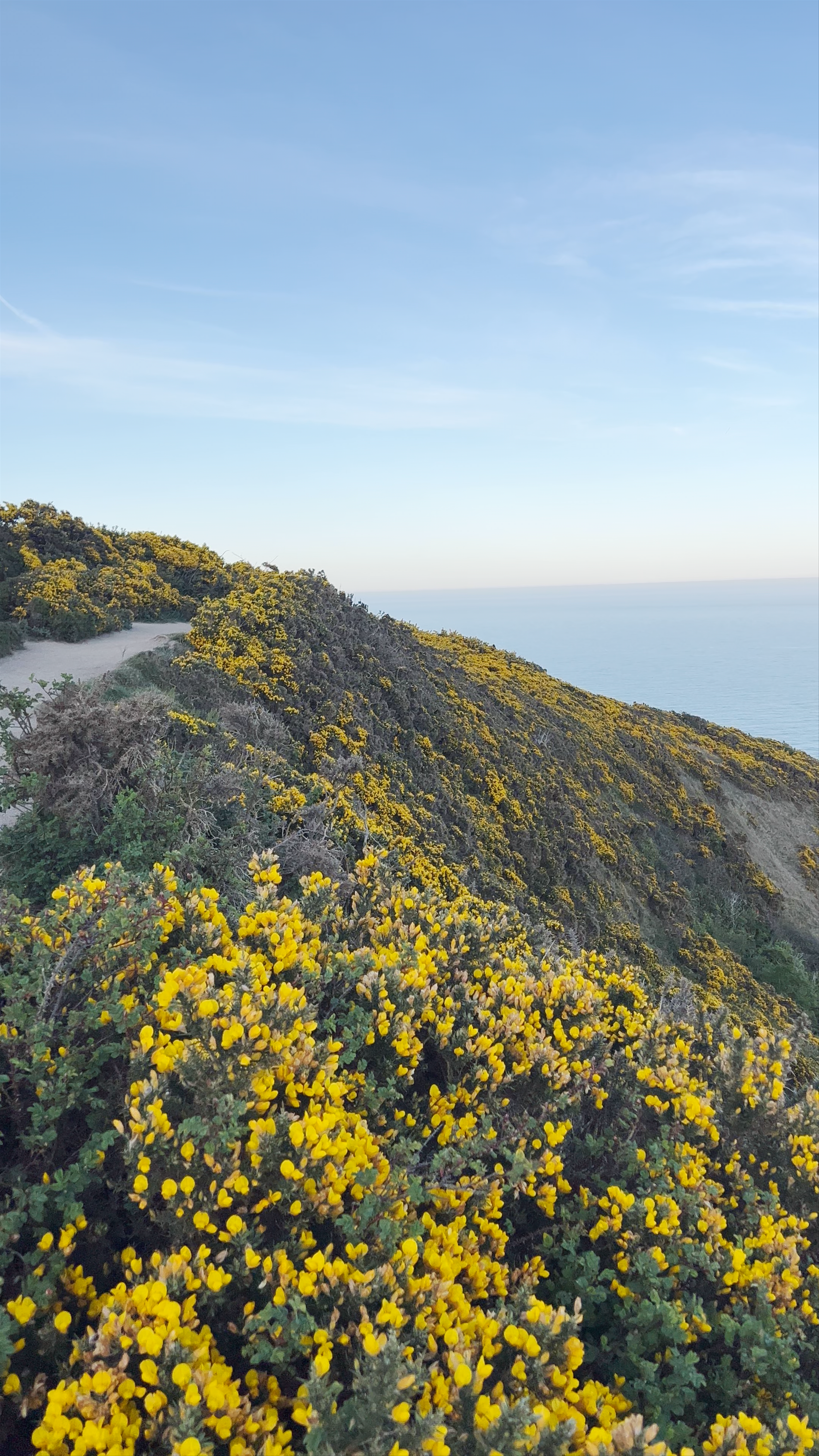 The Summit - Howth