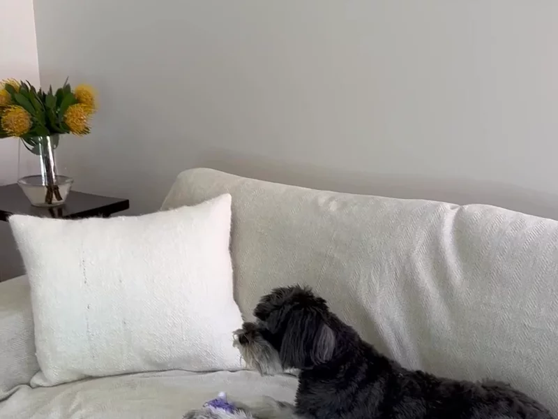 CouchCare