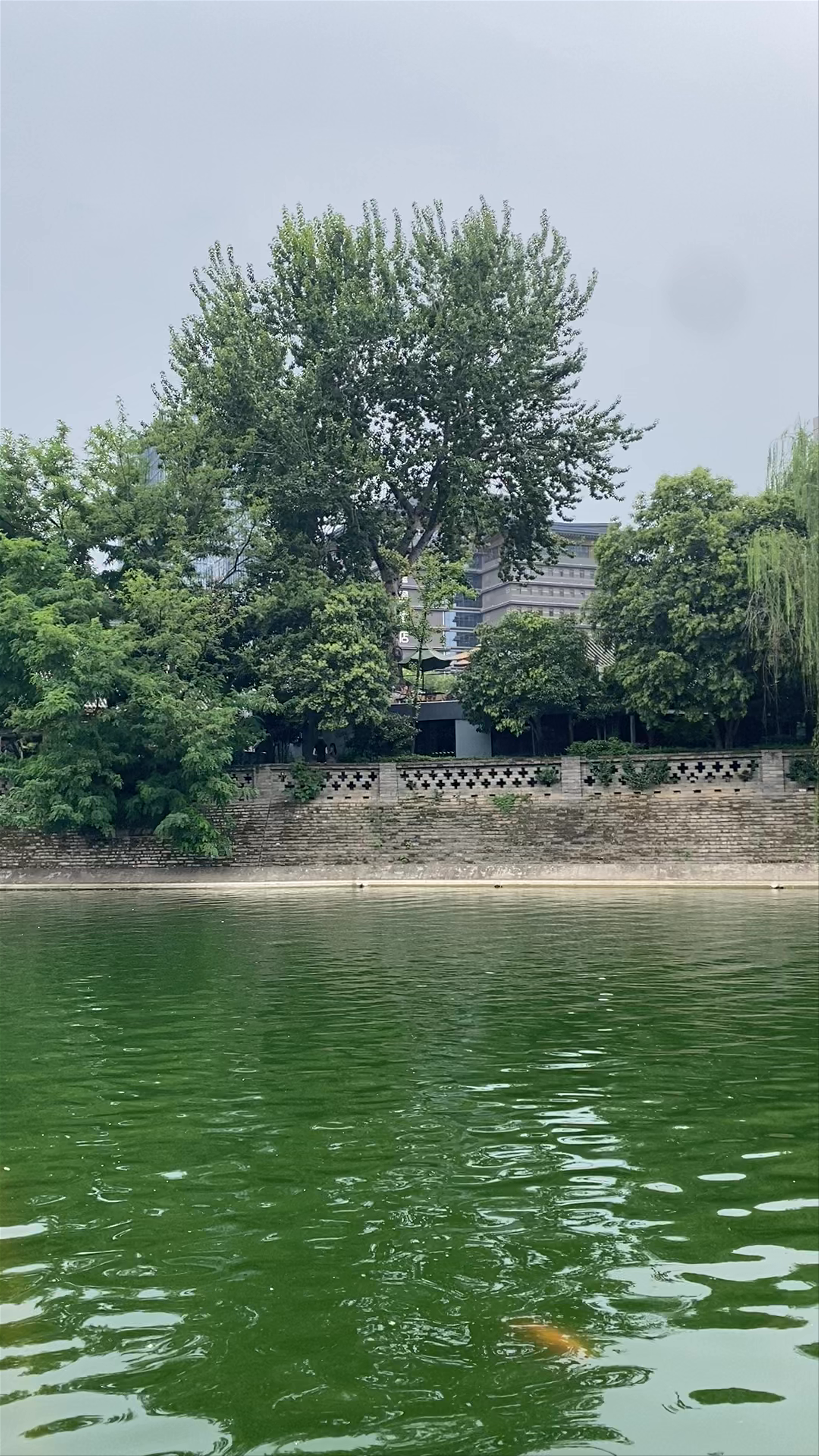 Serene Summer Day at Songyuan South Gate, Xi'an
