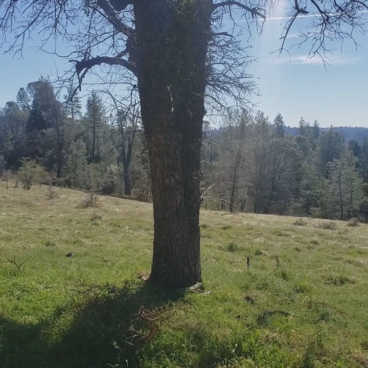 El Dorado Trail - Hiking Near Me
