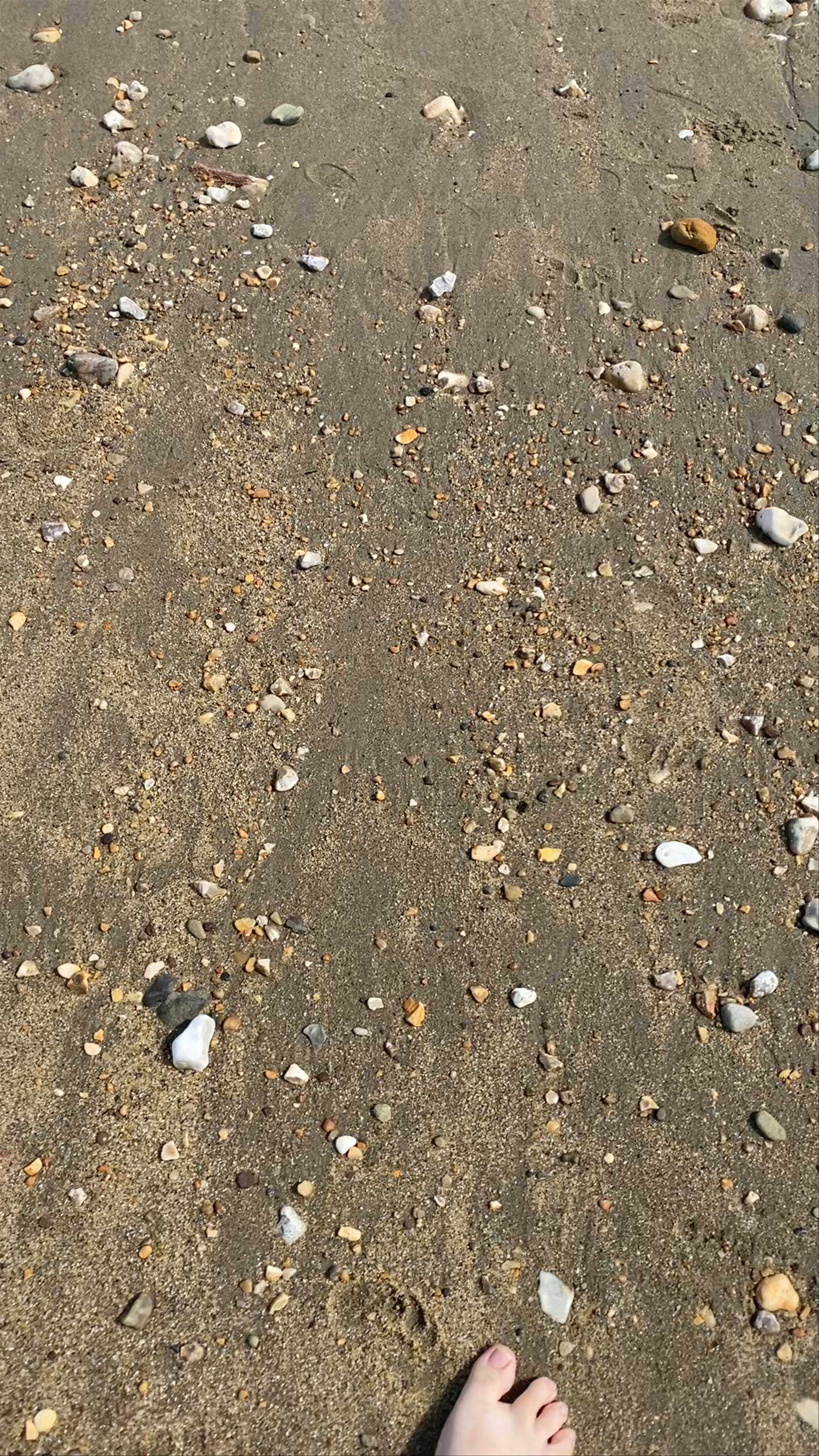 Shanklin Beach
