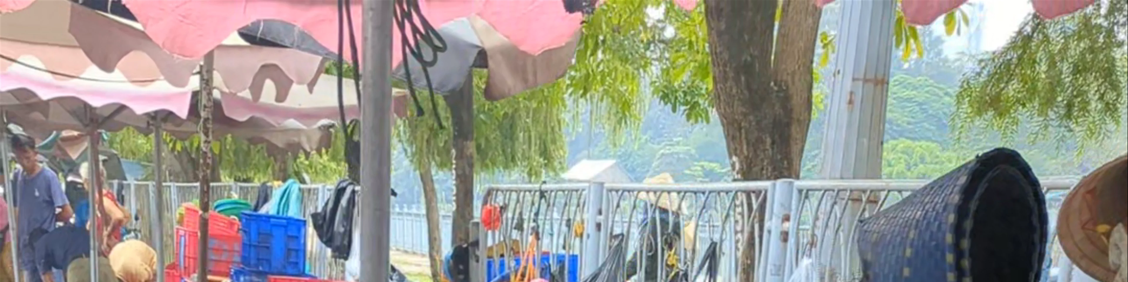 Thi Nghe Market