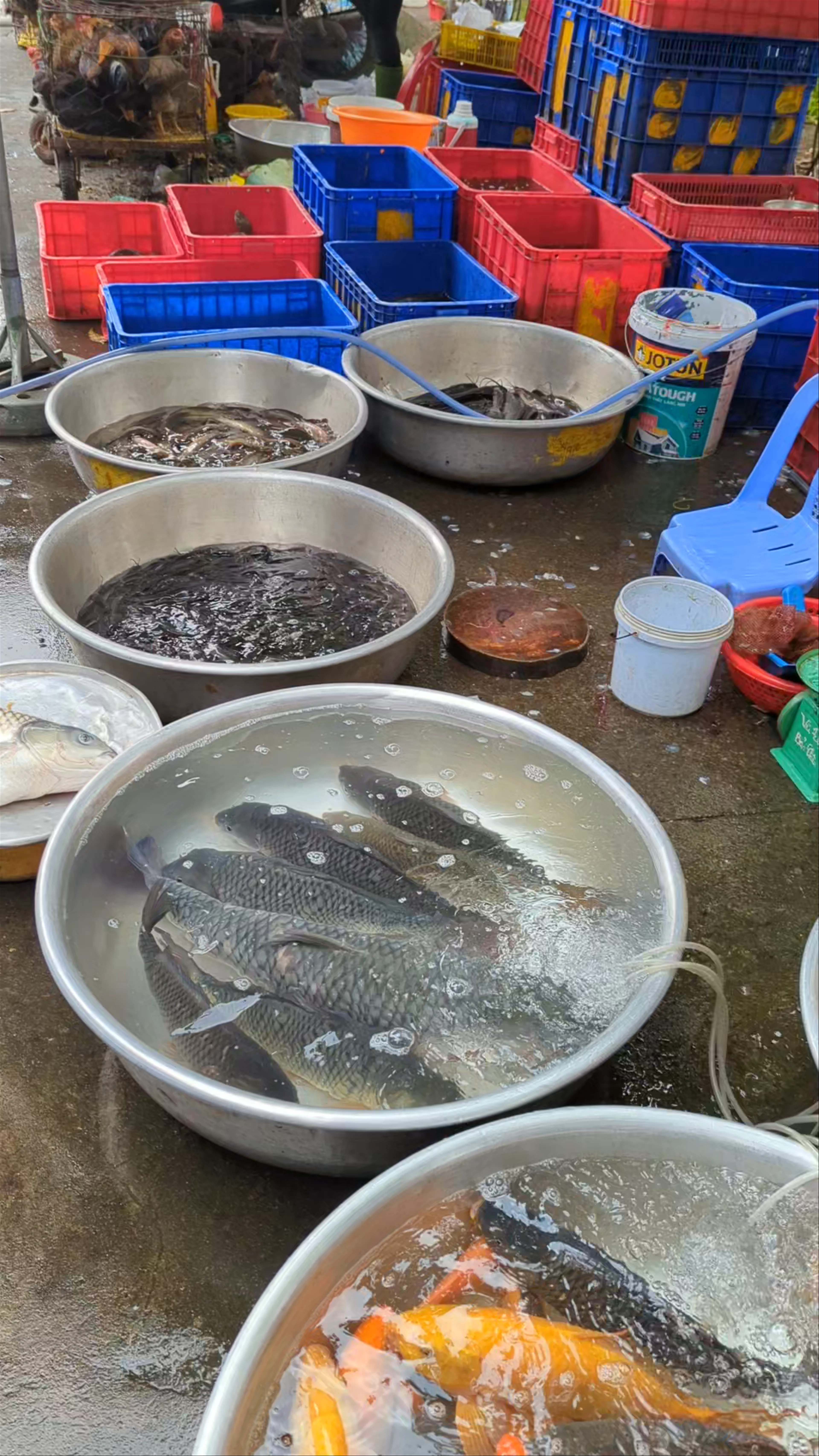 Thi Nghe Market, Công Trường Hòa Bình, Phường 19, Bình Thạnh, Ho Chi Minh City, Vietnam