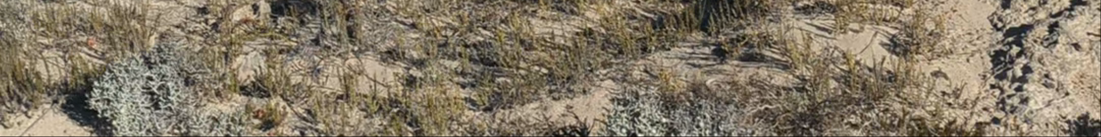 Tours & experiences in Streaky Bay