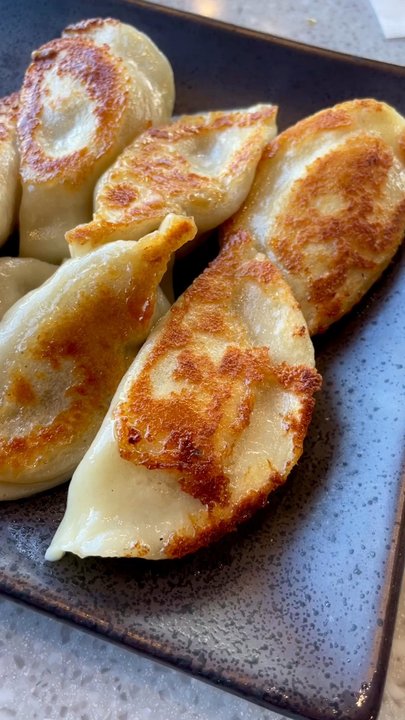 Mason’s Dumpling Shop - Boulder - Pan Fried Pork () Dumplings: My Favorite! - Chinese Near Me - Boulder, Colorado