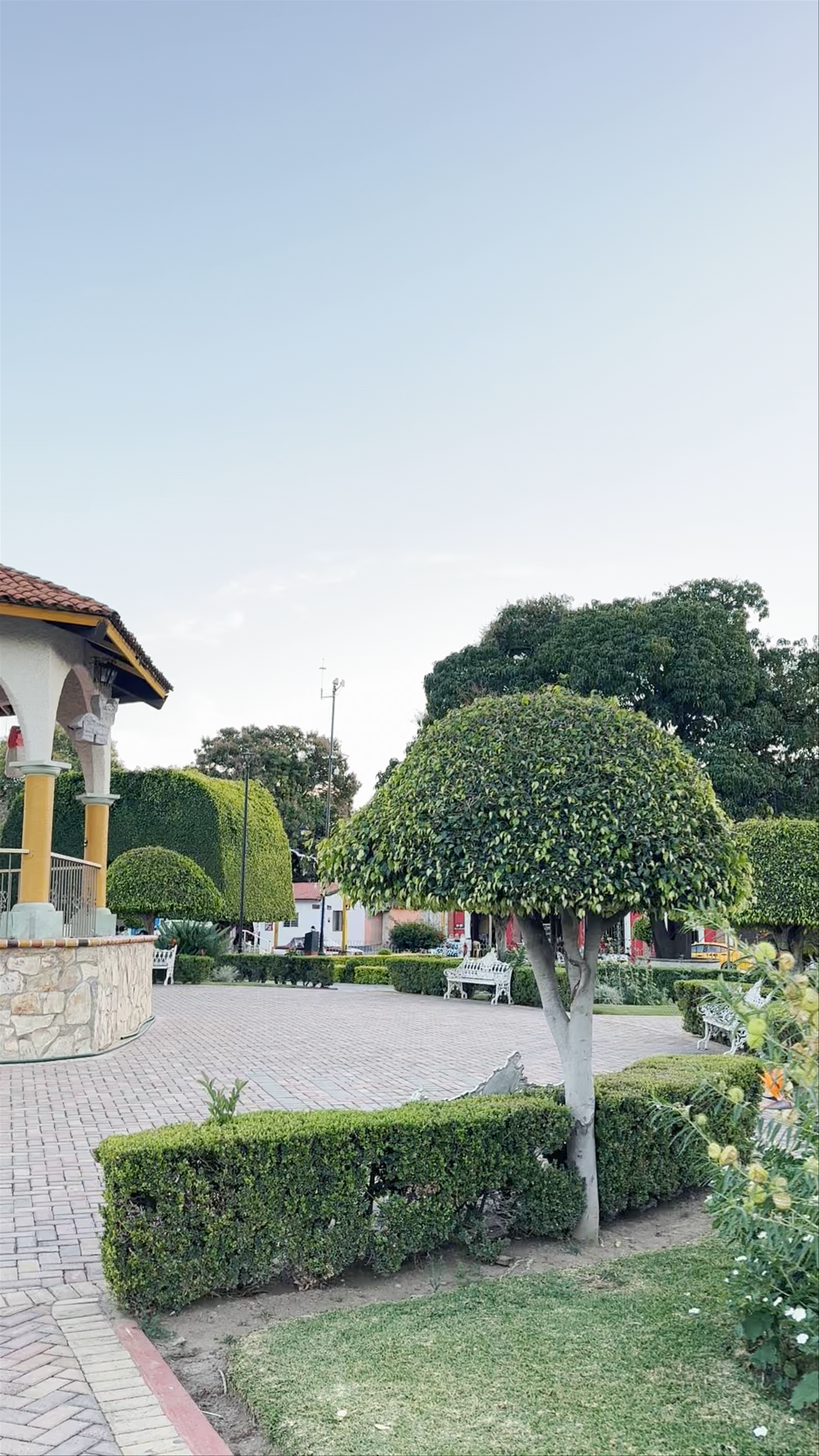 Kiosko de "El Tule".