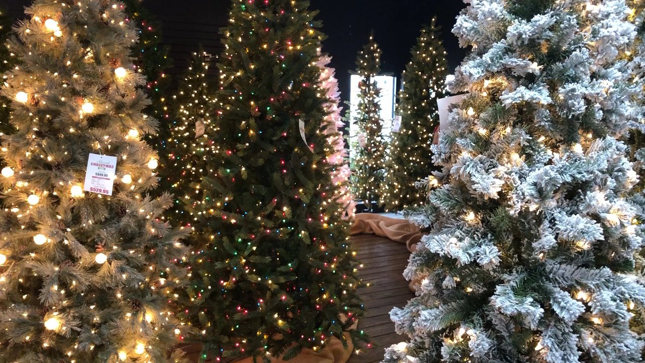 The Great Backyard Place - Christmas. - Furniture Stores Near Me - Knoxville, Tennessee