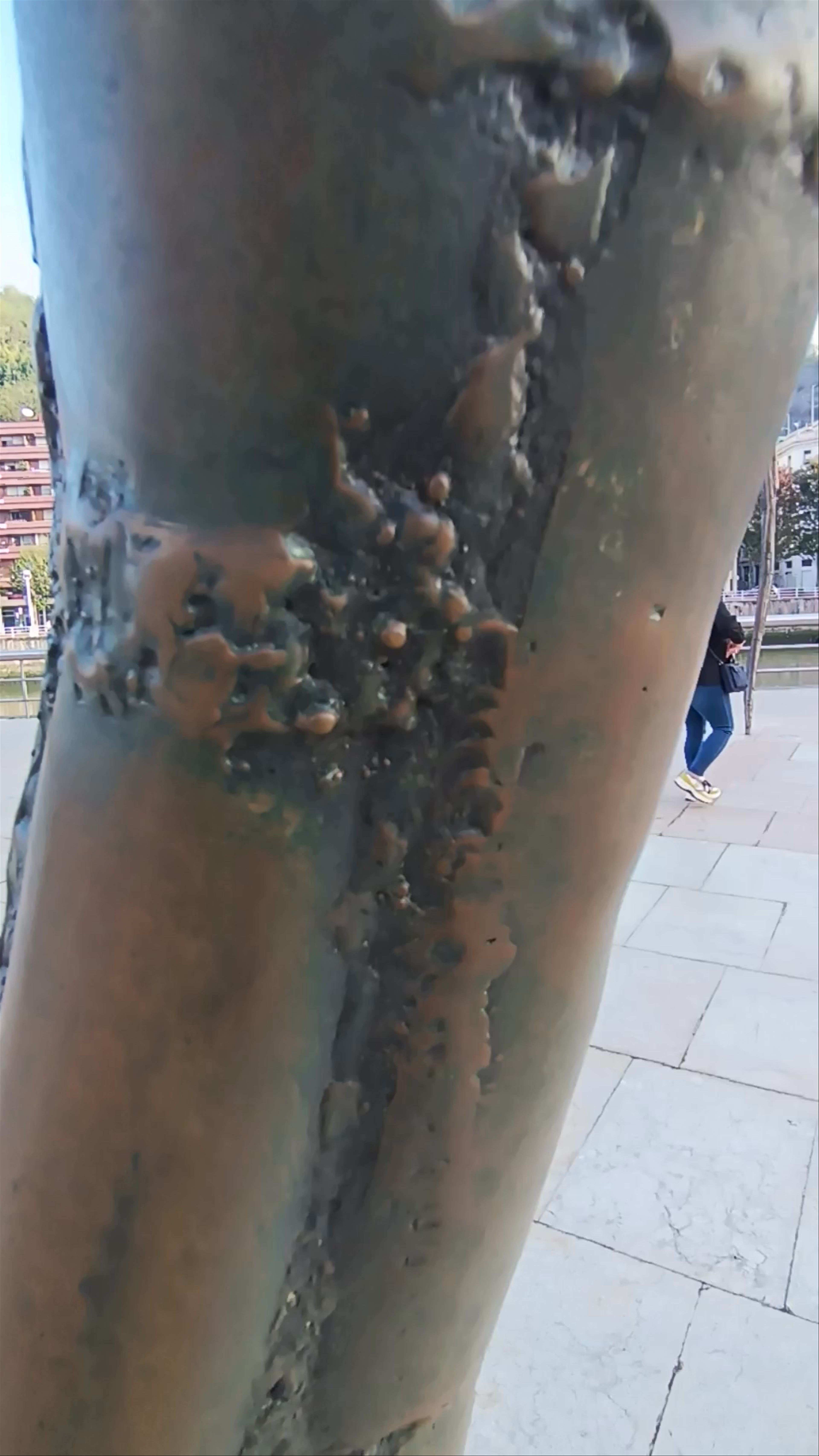 Maman by Louise Bourgeois: Giant Spider Sculpture in Bilbao