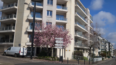 Migraine témoin d'excès