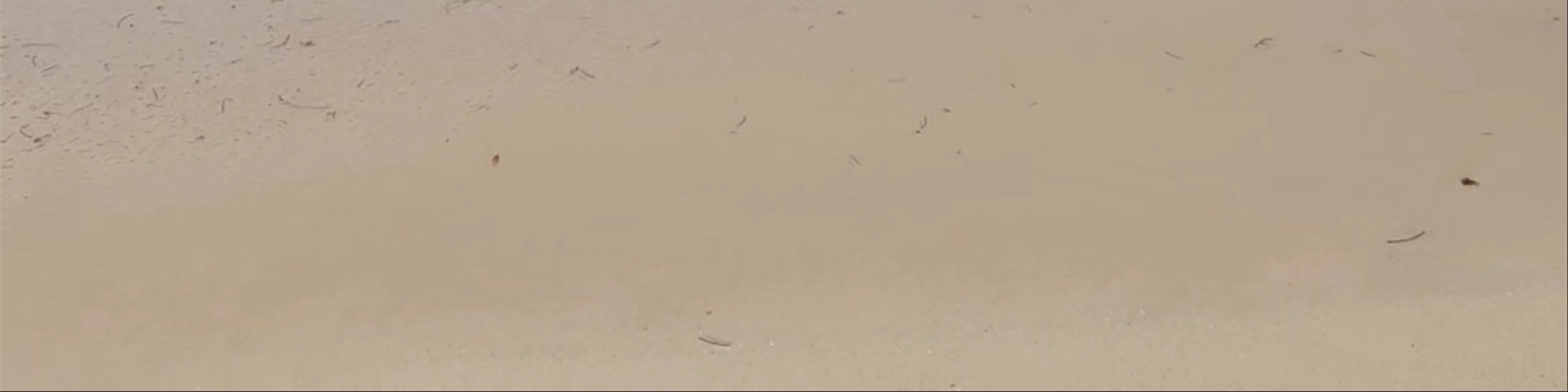 Cayo Zapatilla