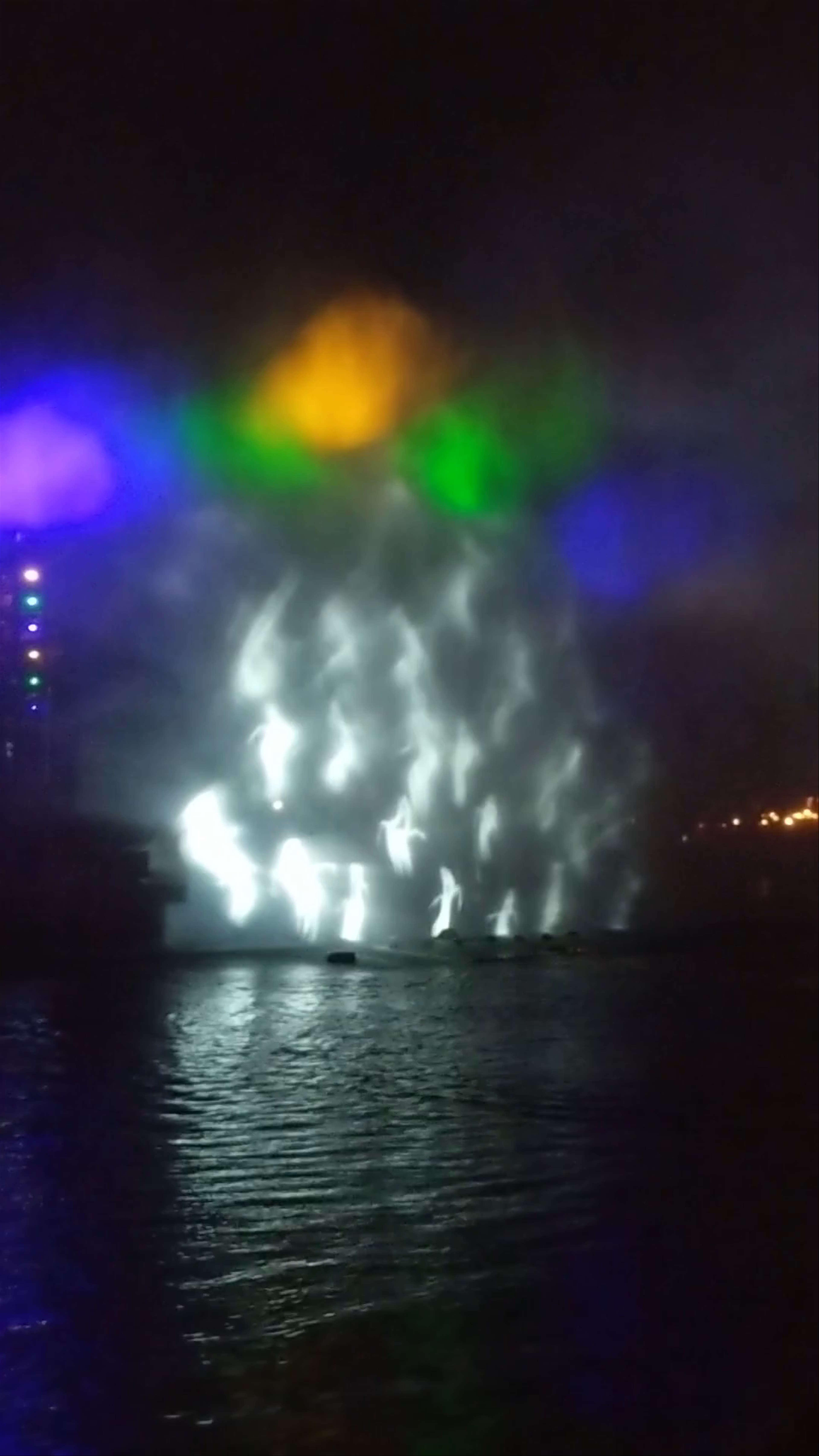 Magical Nighttime Water and Light Show at Disneyland Park