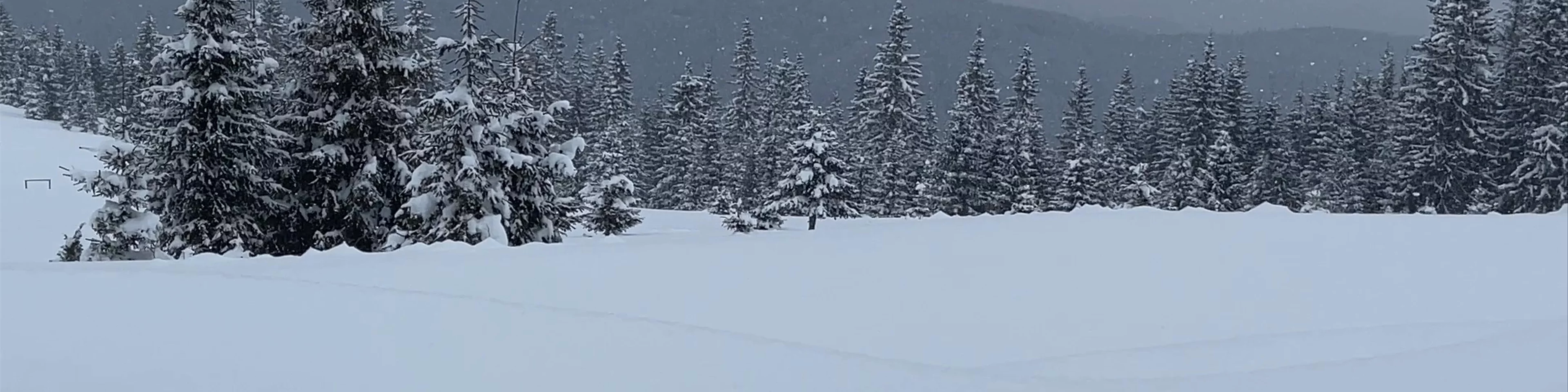 Buscat Ski Resort