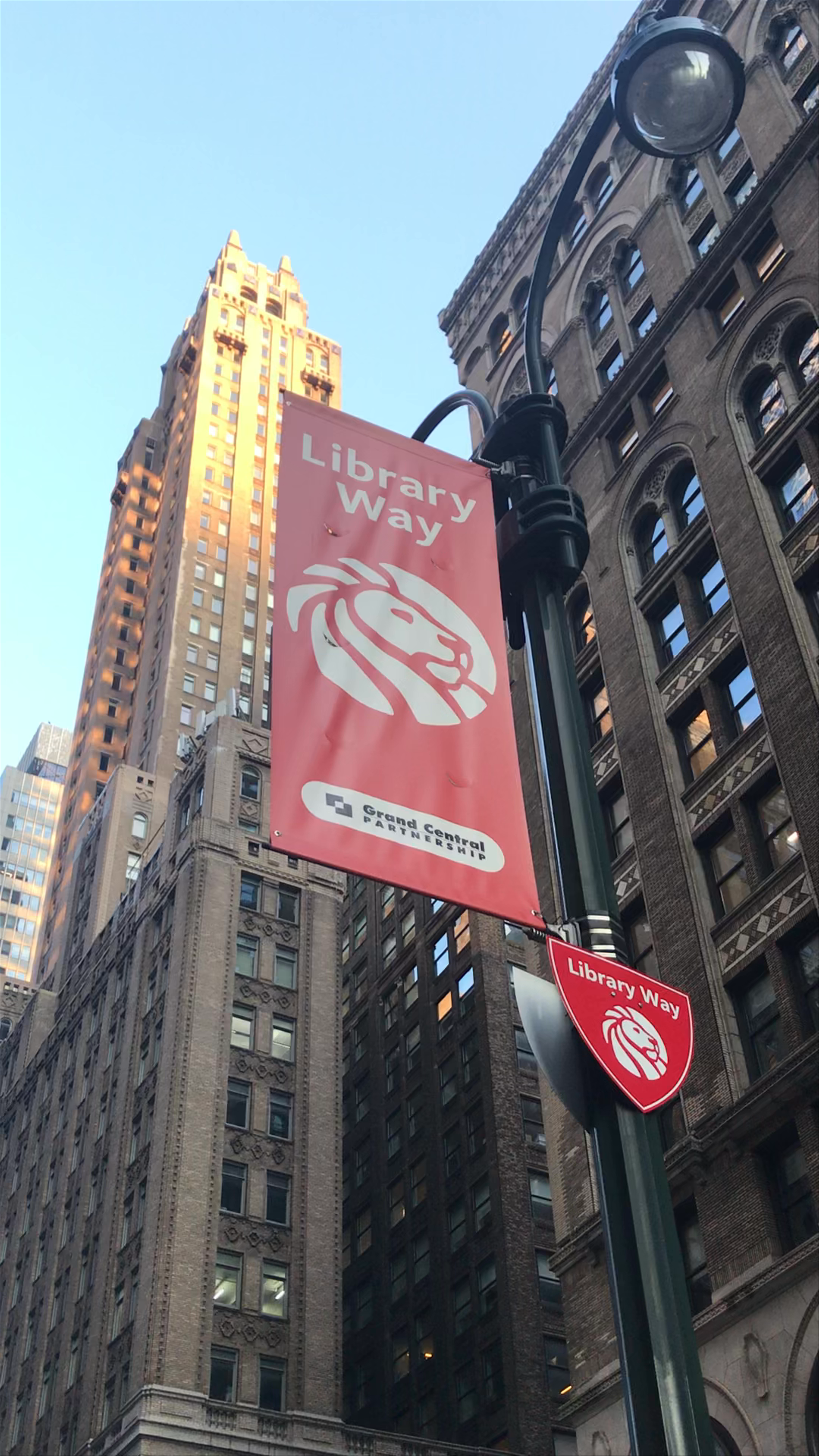 Library Way - A Timeless Stroll in Downtown New York