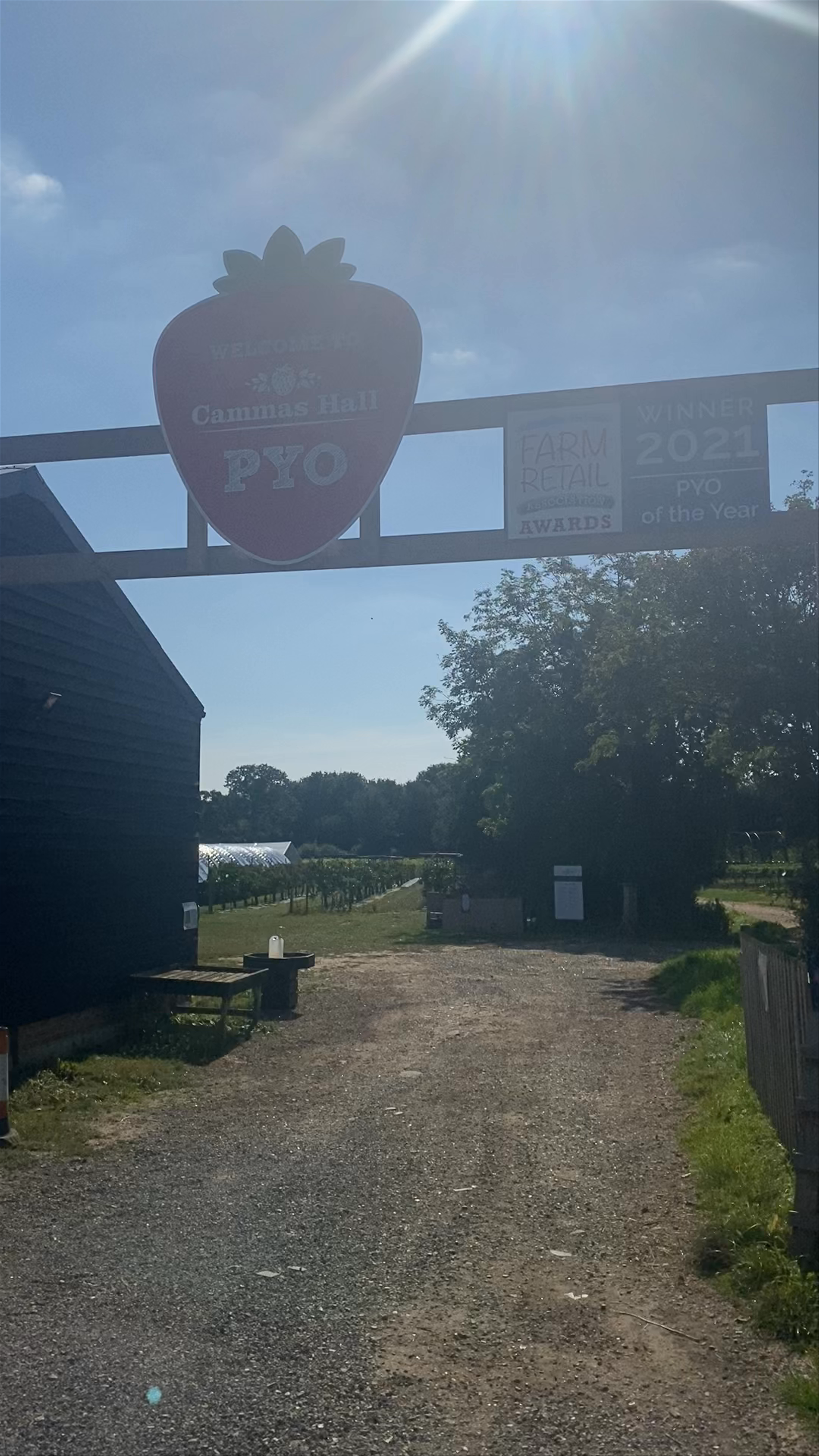 Cammas Hall Farm PYO: A Serene Pick-Your-Own Experience in Bishop's Stortford