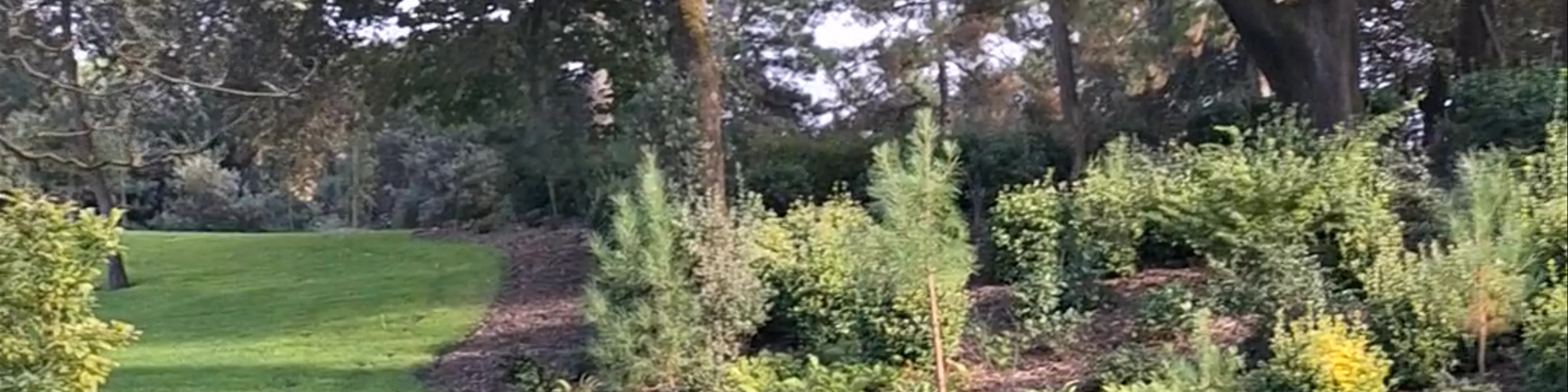 Parc des Dryades