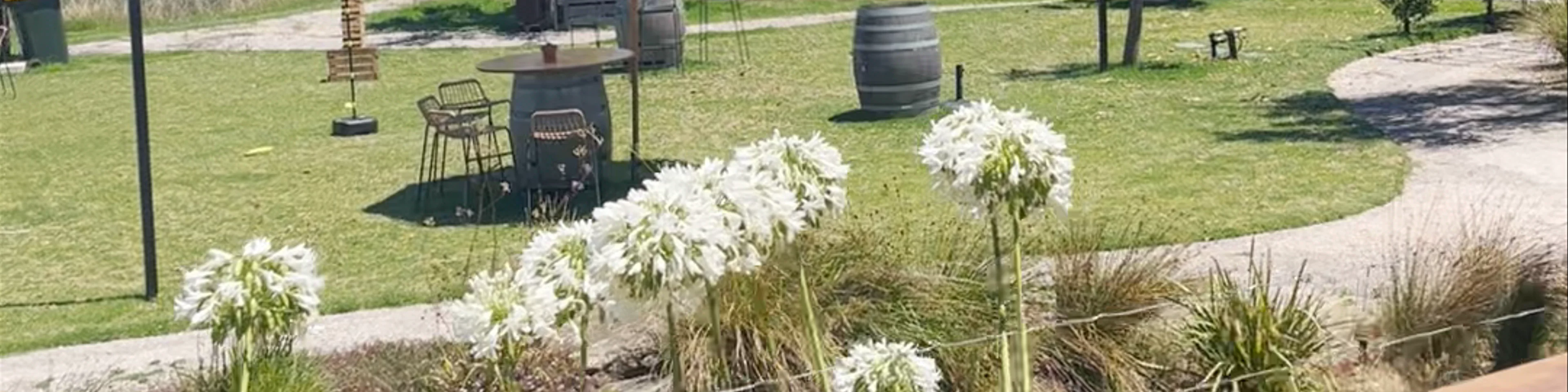Vine Shed Venue & Cellar Door