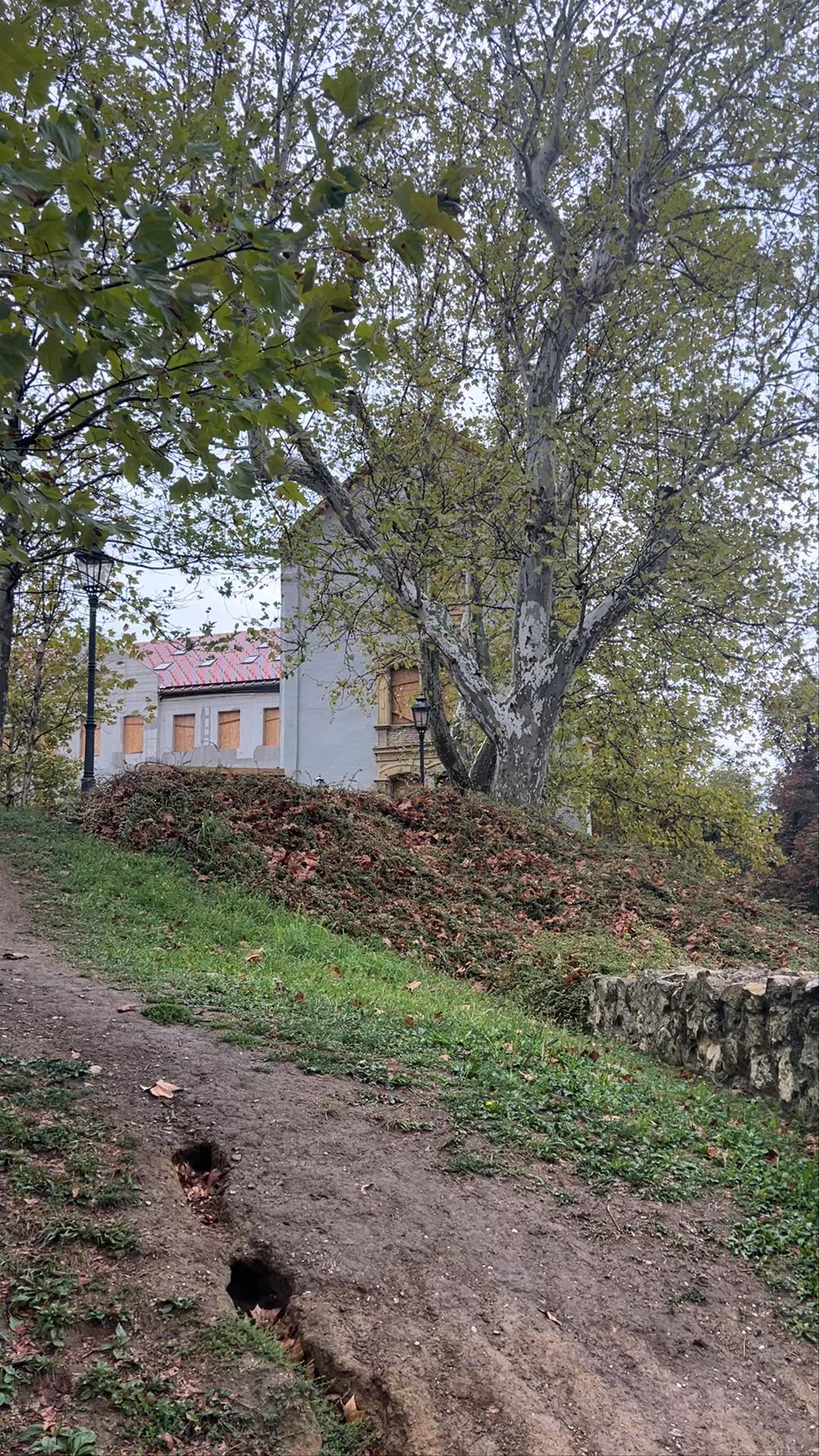 Park Bele IV