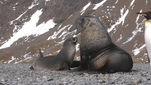 Untitled Work animated gif