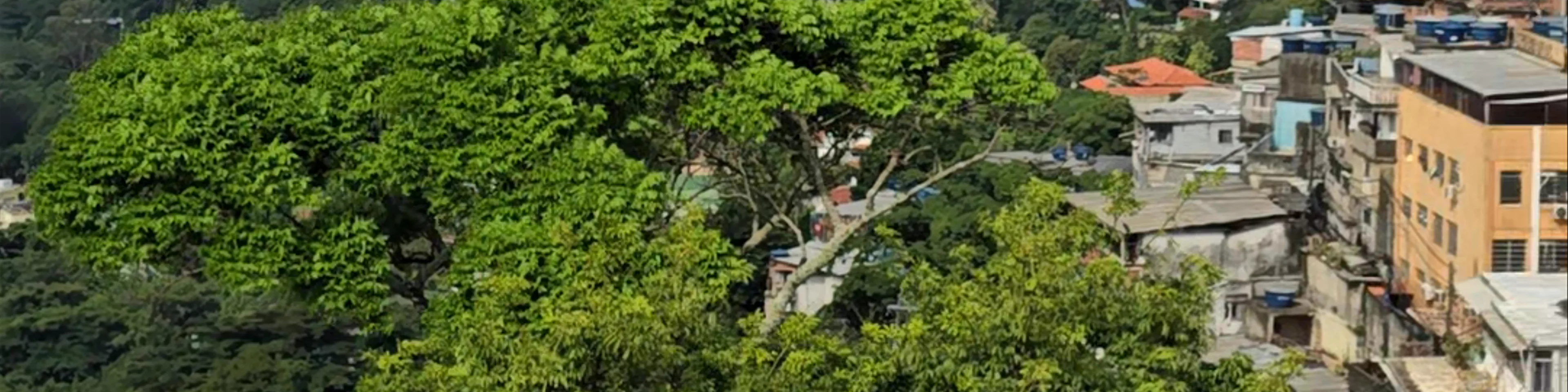 Porta Do Ceu - Rocinha