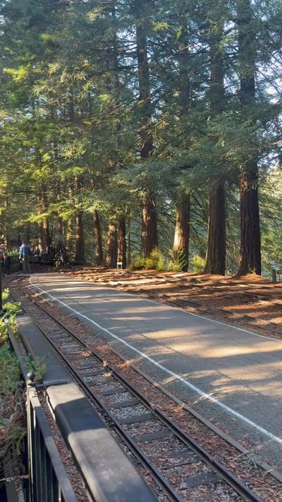 Tilden Regional Park - Steam train returning back to the station. - Parks Near Me - Berkeley, California
