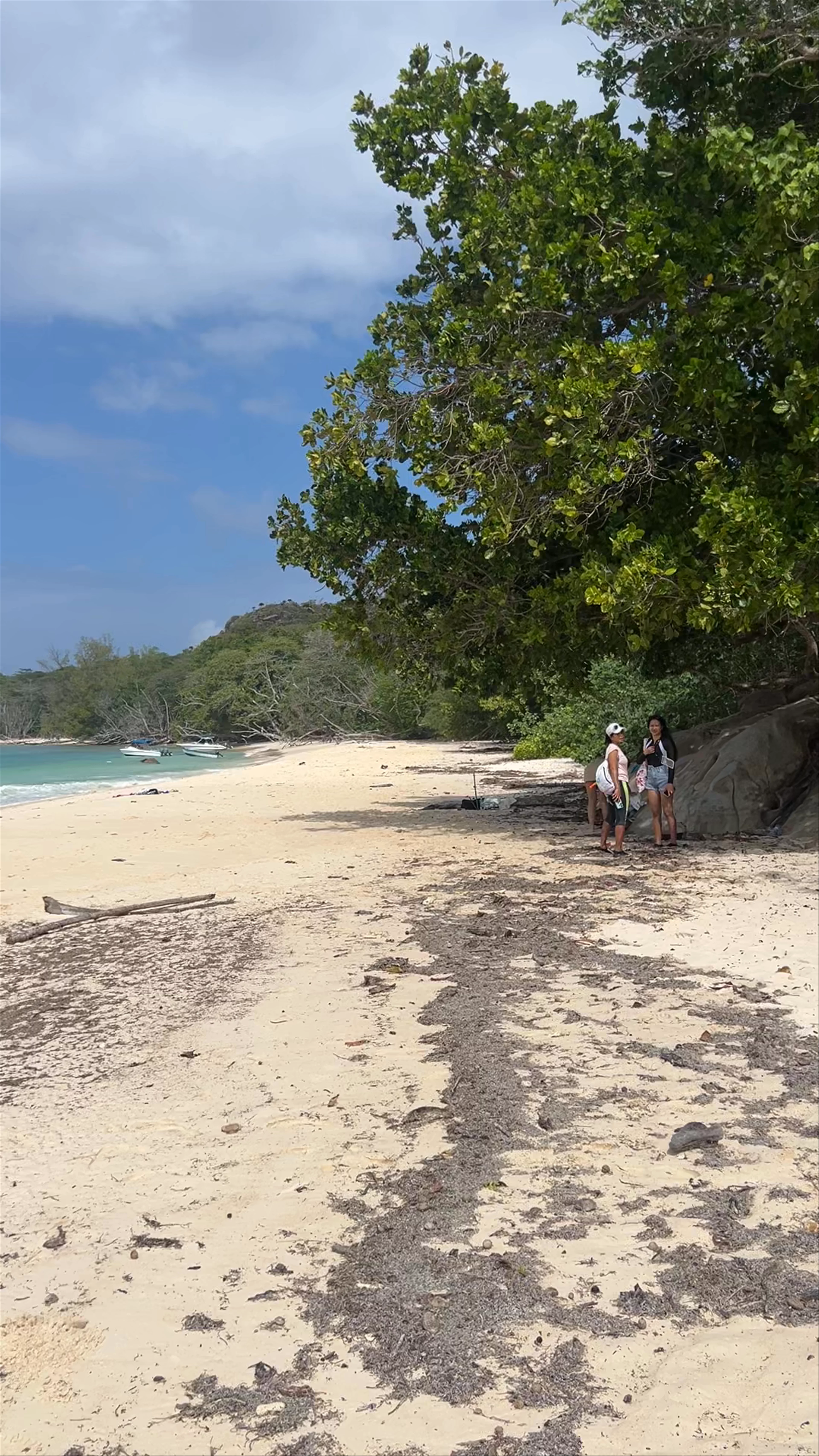 Anse St. Jose, Grand Anse