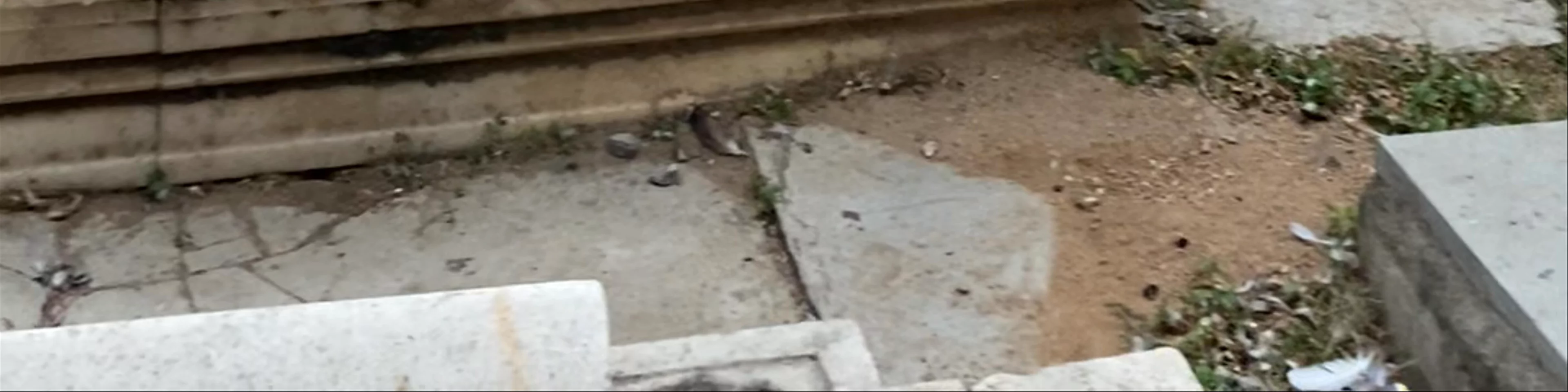 Qutbshahi Kalyani graveyard