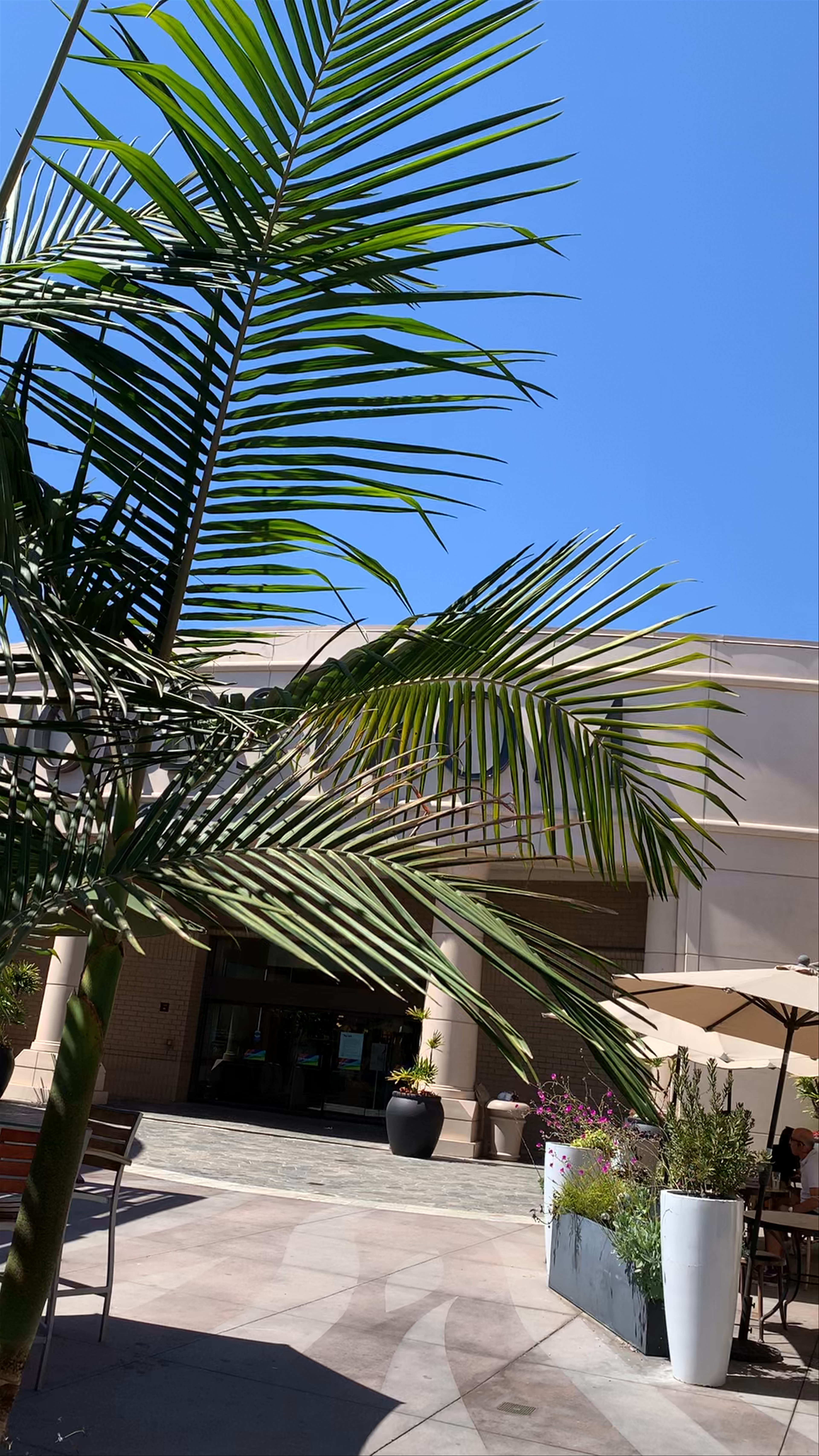 Leisure and Lifestyle at Westfield Santa Anita in Arcadia