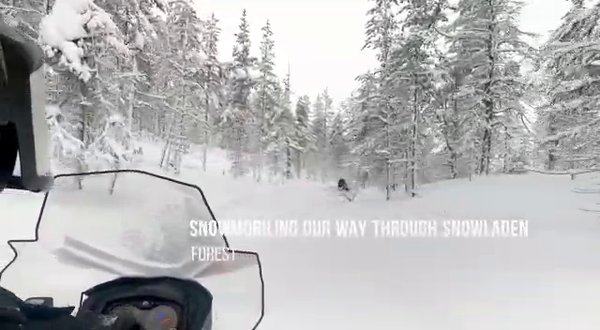 Photo of Chasing Wilderness |