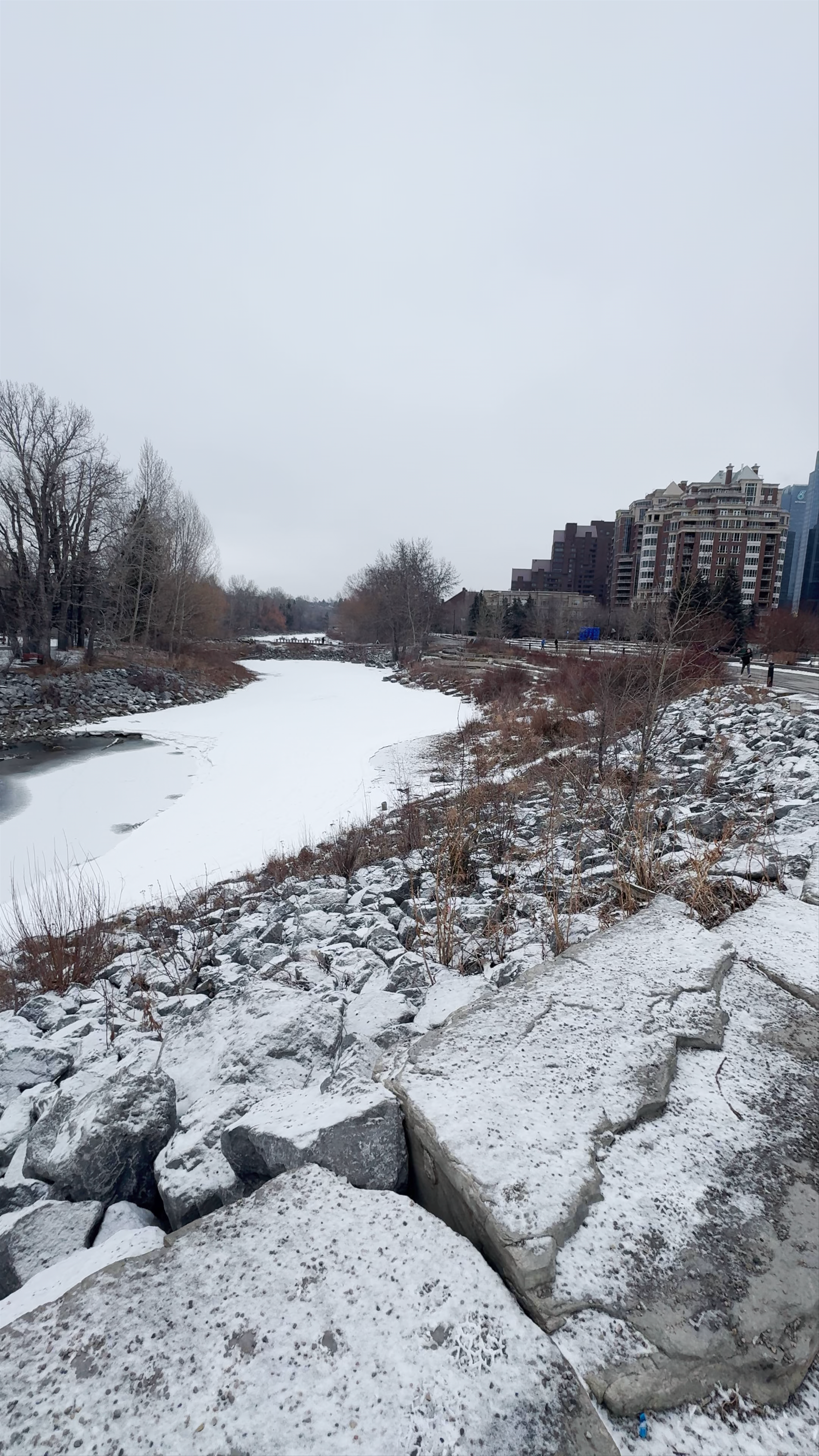 Peace Bridge Winter Walk in Calgary